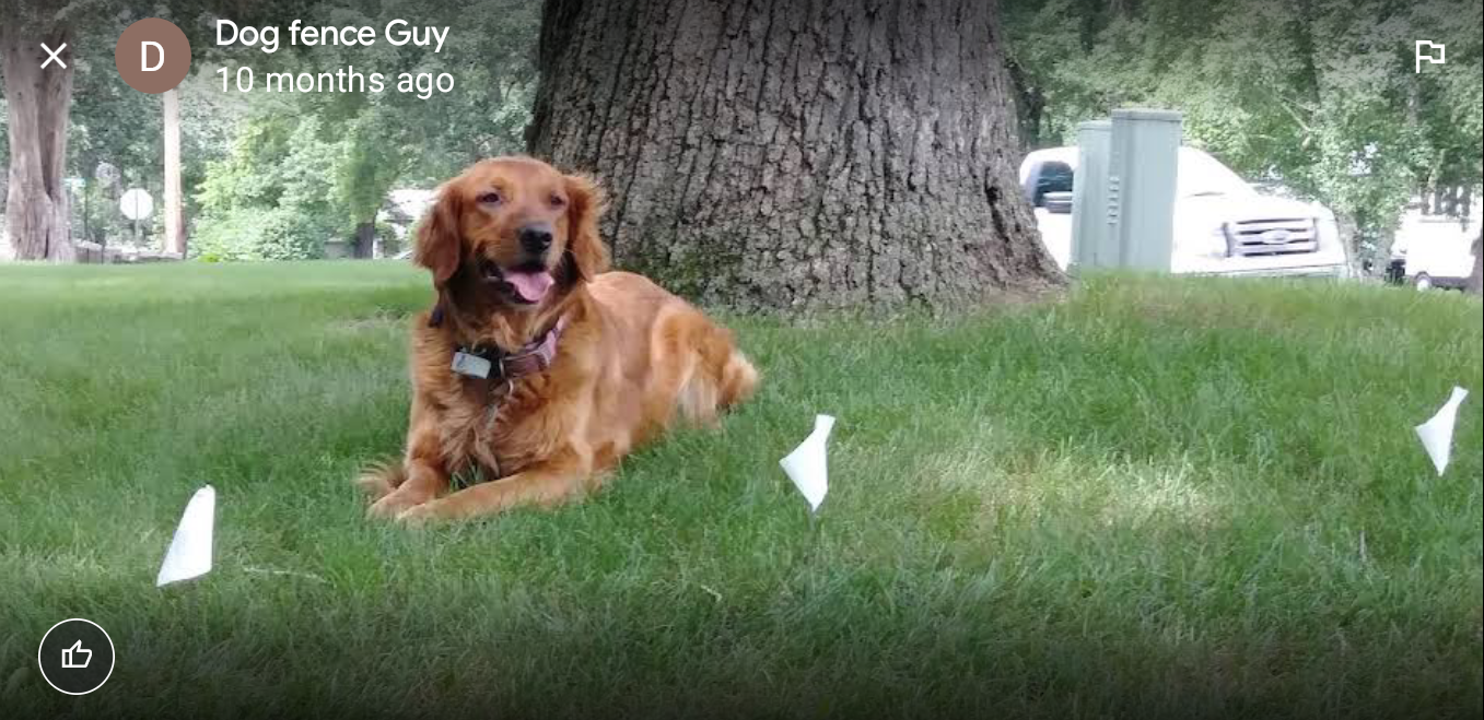 Hemi Construction, LLC DBA Dog Fence Guy Logo