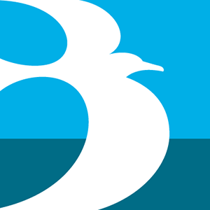 Beachside Appraisal Group, Inc Logo