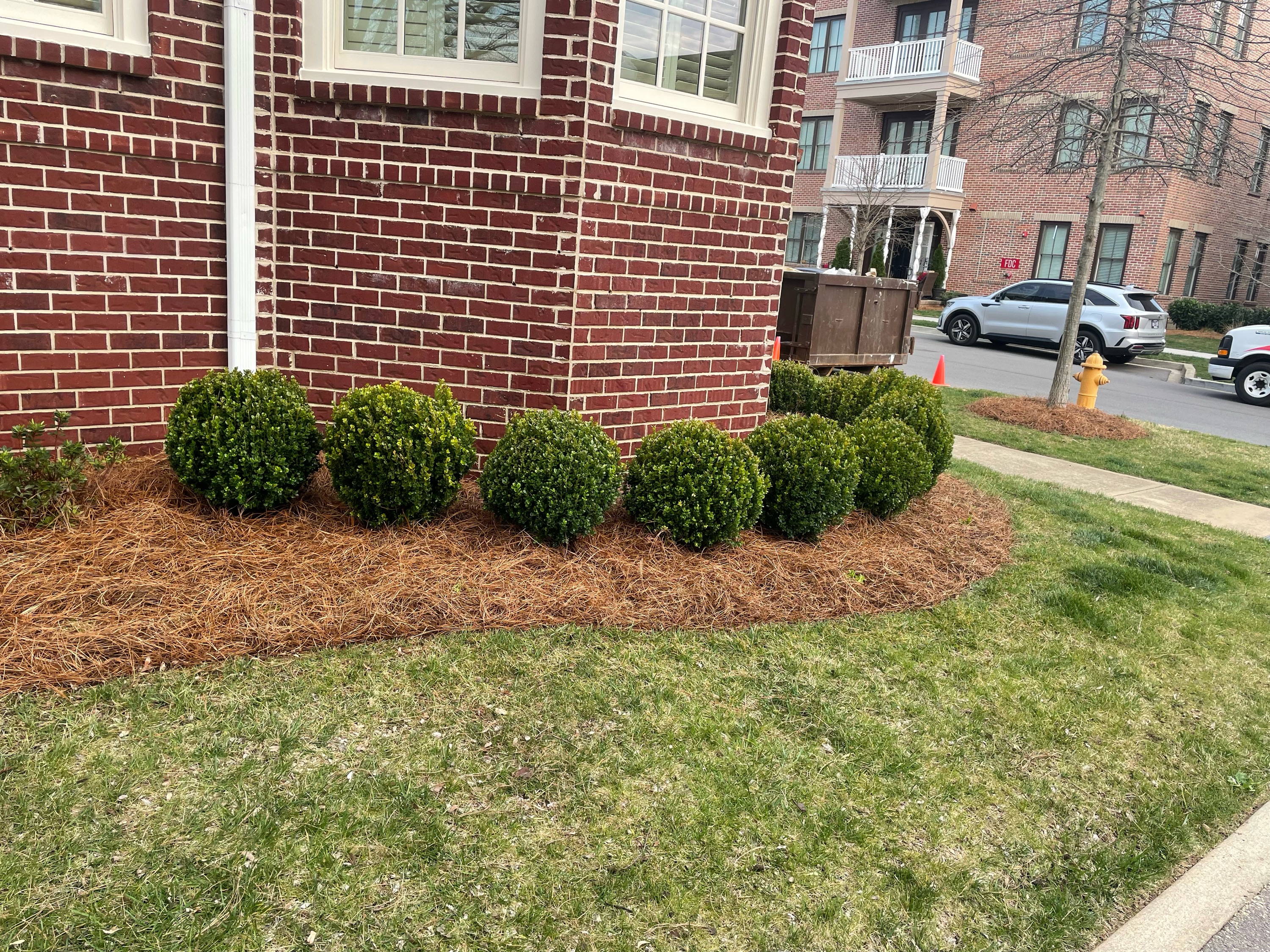 C&E Landscaping Logo