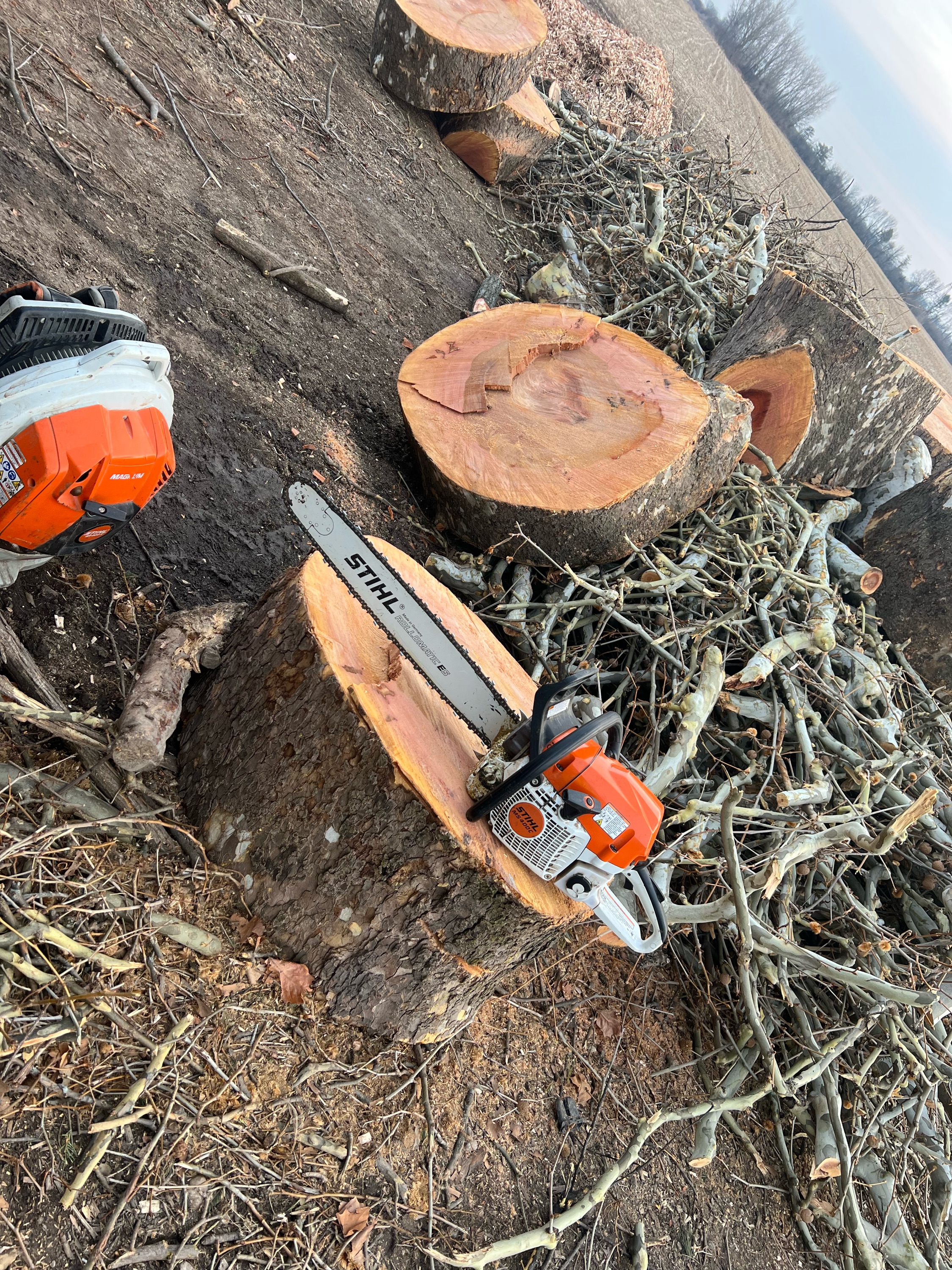 CRT Tree Services Logo