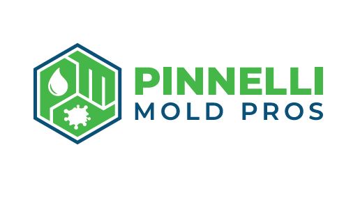 Pinnelli Mold Pros, LLC Logo