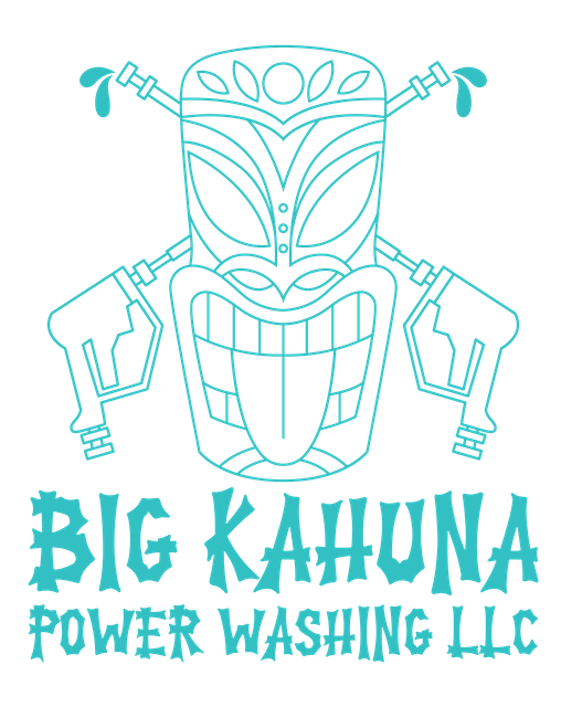 Big Kahuna Power Washing, LLC Logo