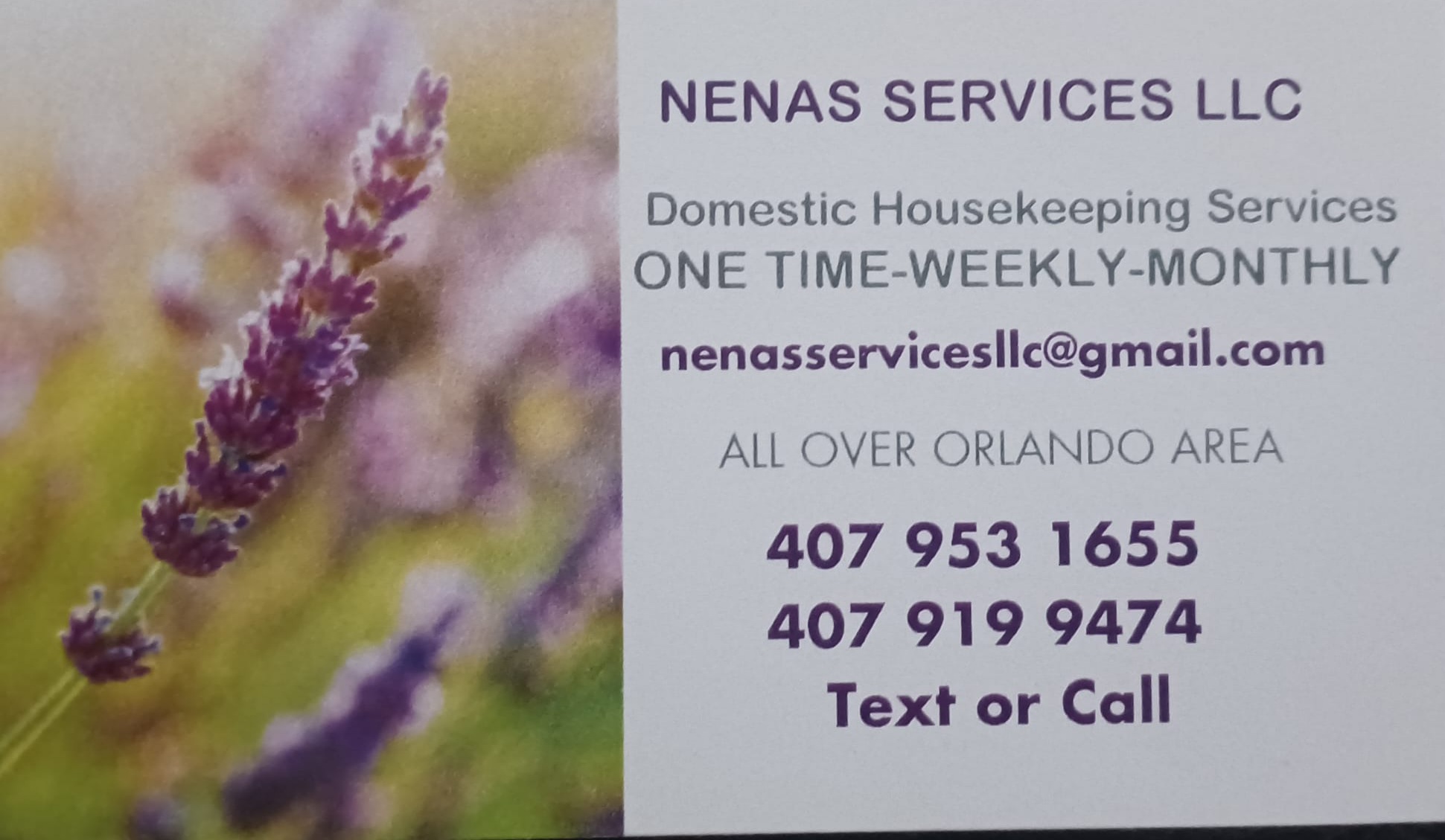 Nenas Services LLC Logo