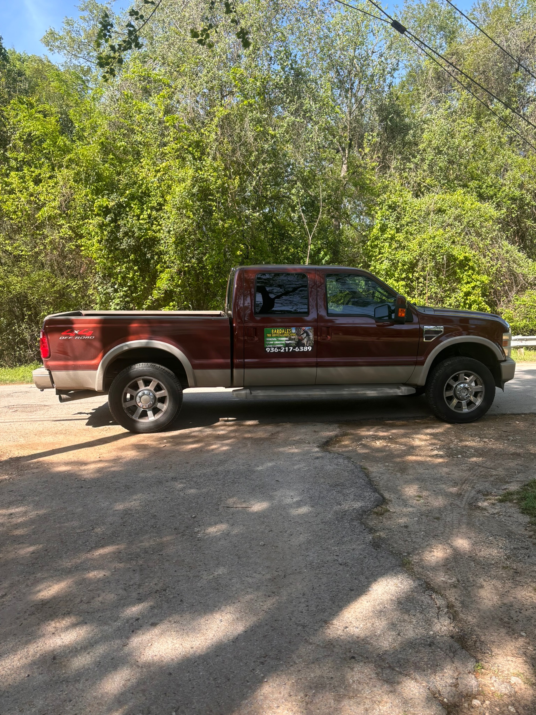 Bardales Tree Service Logo