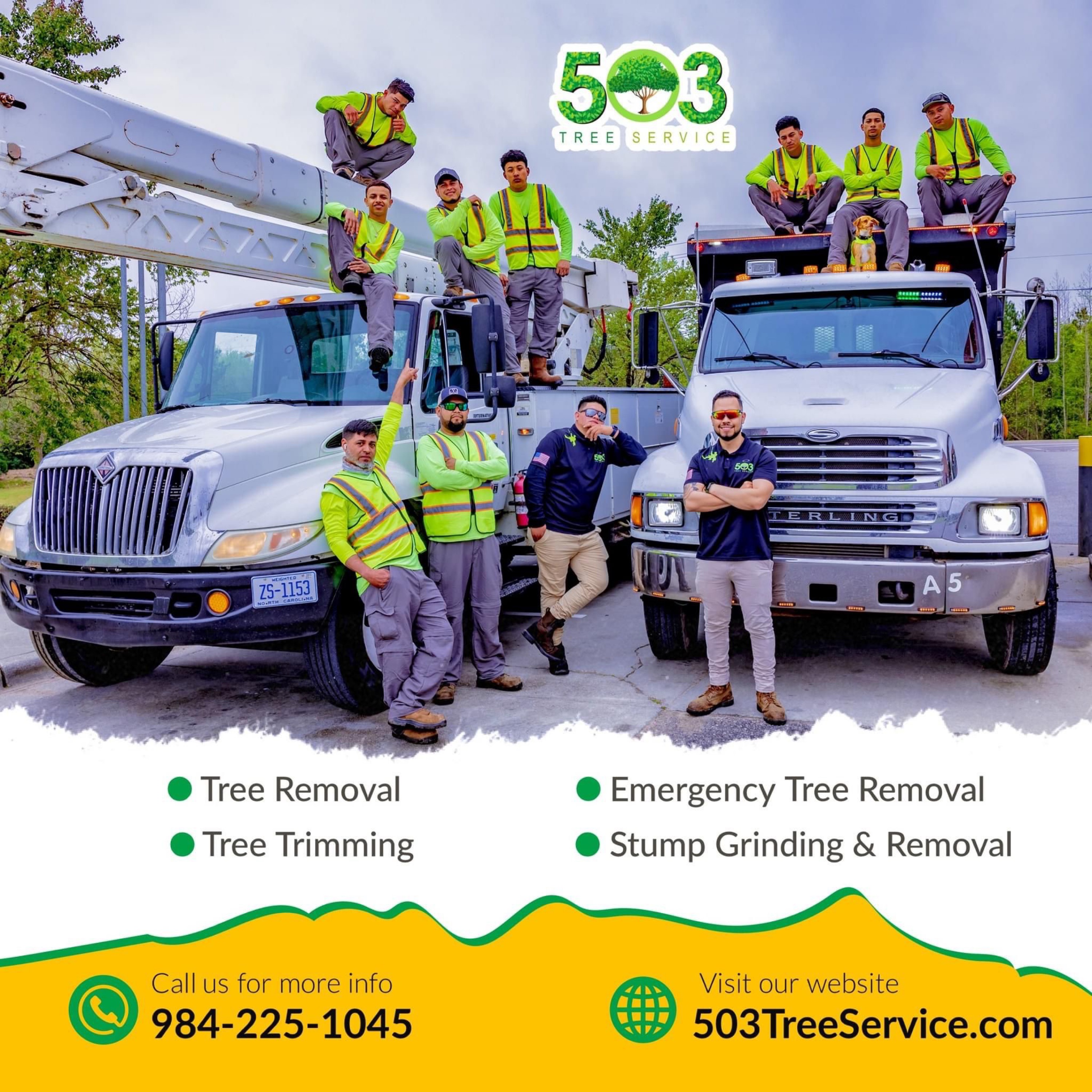 503 Tree Service Logo