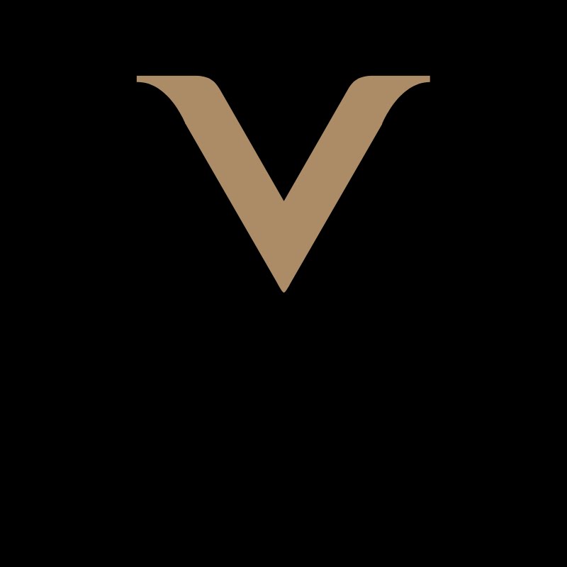 MV Rustic Ventures, LLC Logo