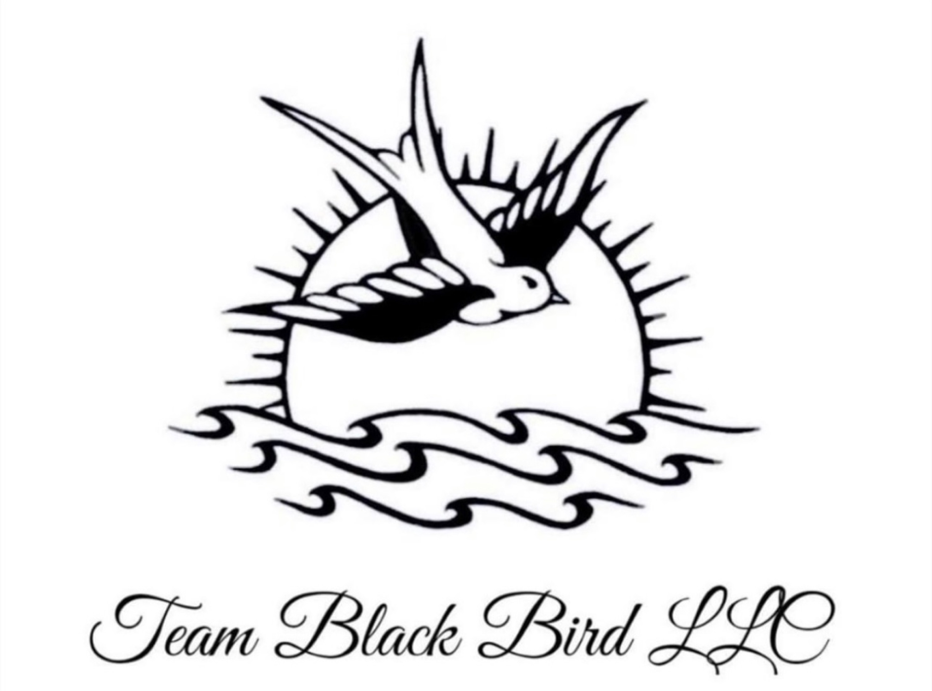 Team Black Bird Logo