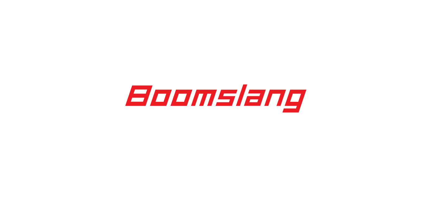 Boomslang Inc Logo