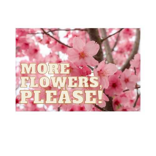 More Flowers, Please! Logo