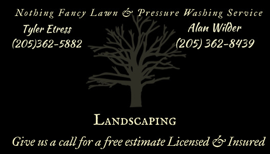 Nothing Fancy Lawn Service & Pressure Washing Logo