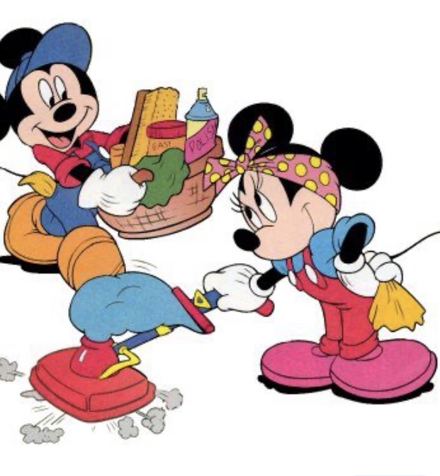 Mickey & Minnie Multi-Services Logo