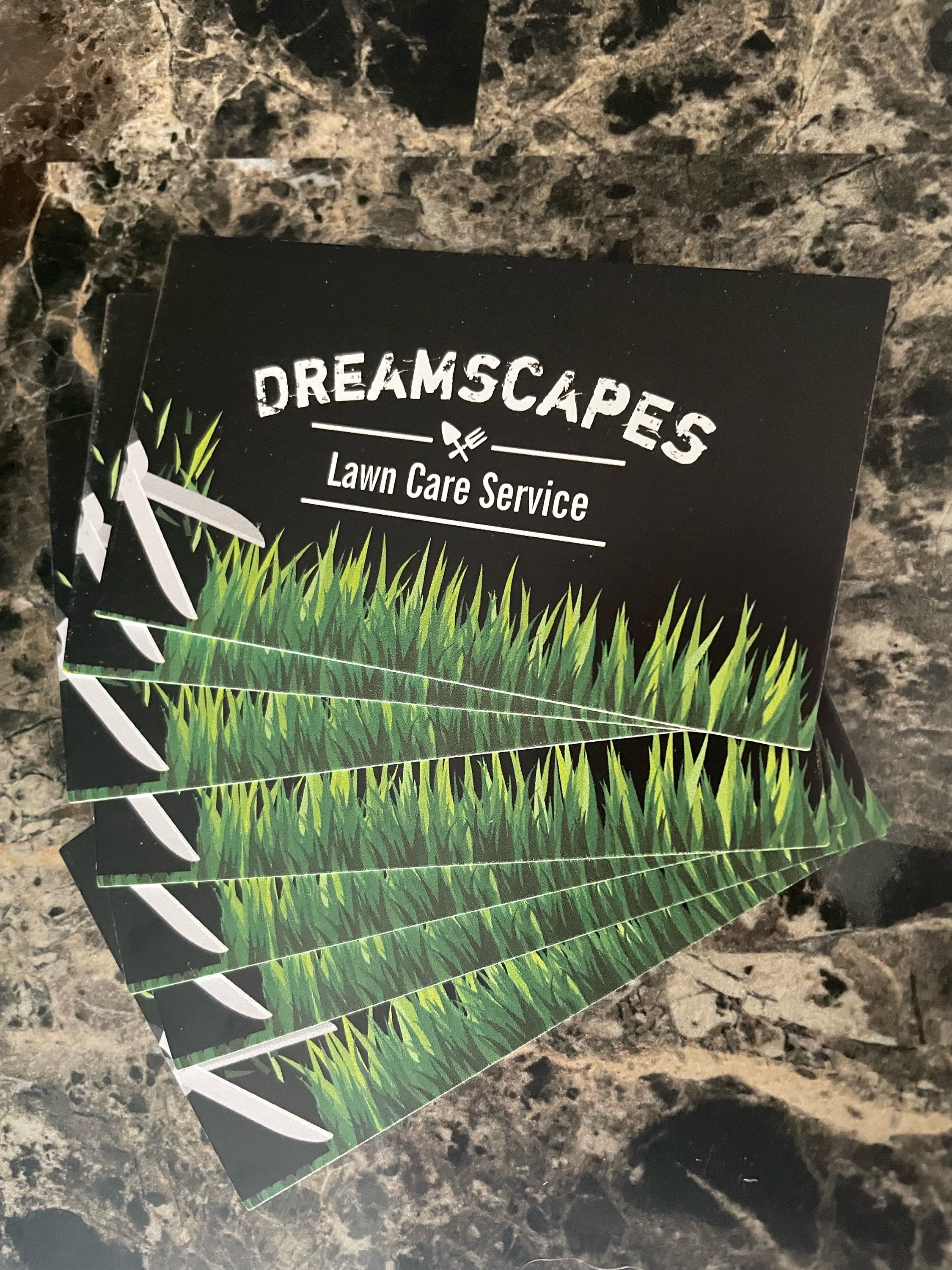 Dreamscapes landscaping Logo