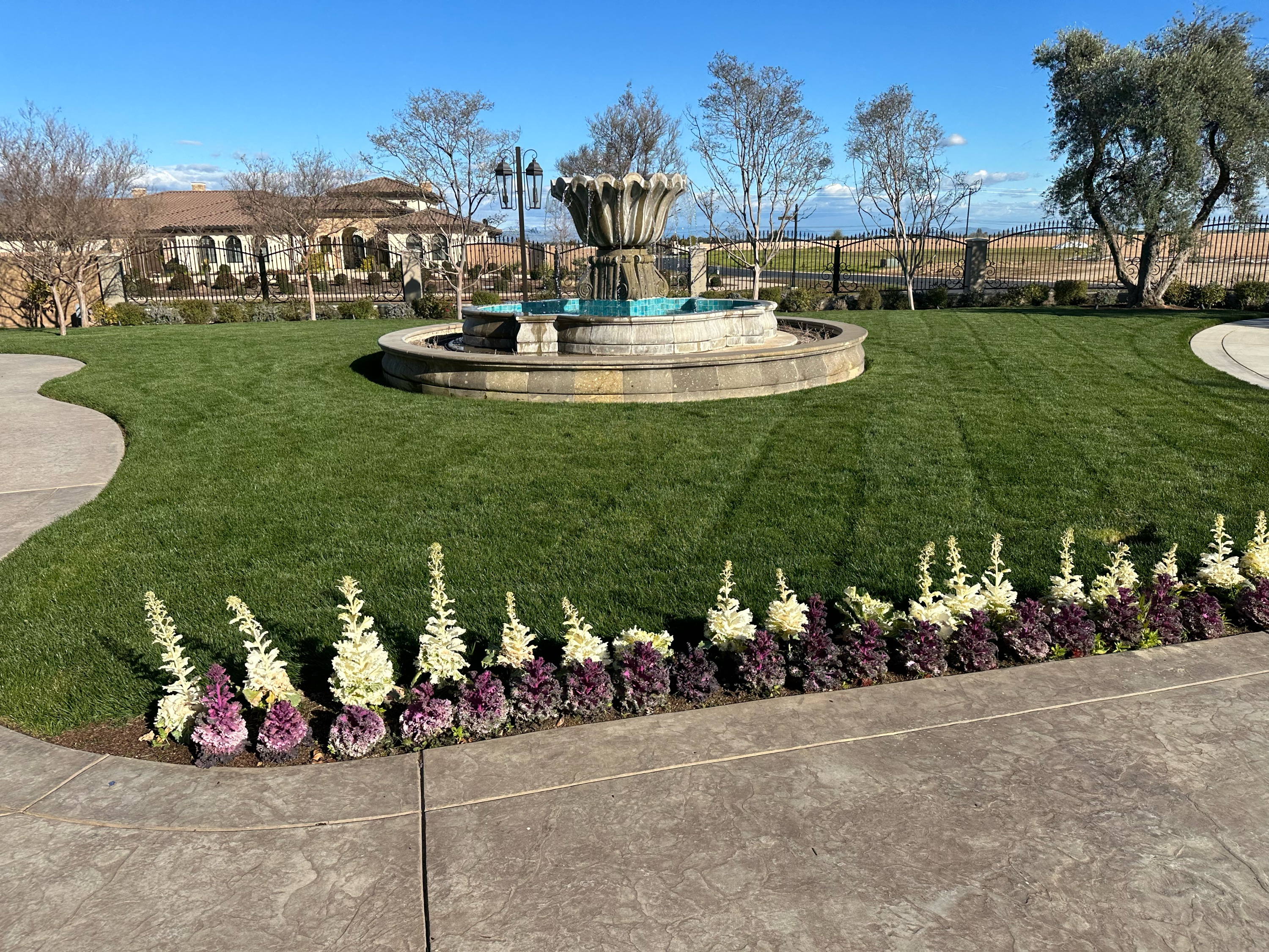 Cypress Creek Landscape, Inc. Logo