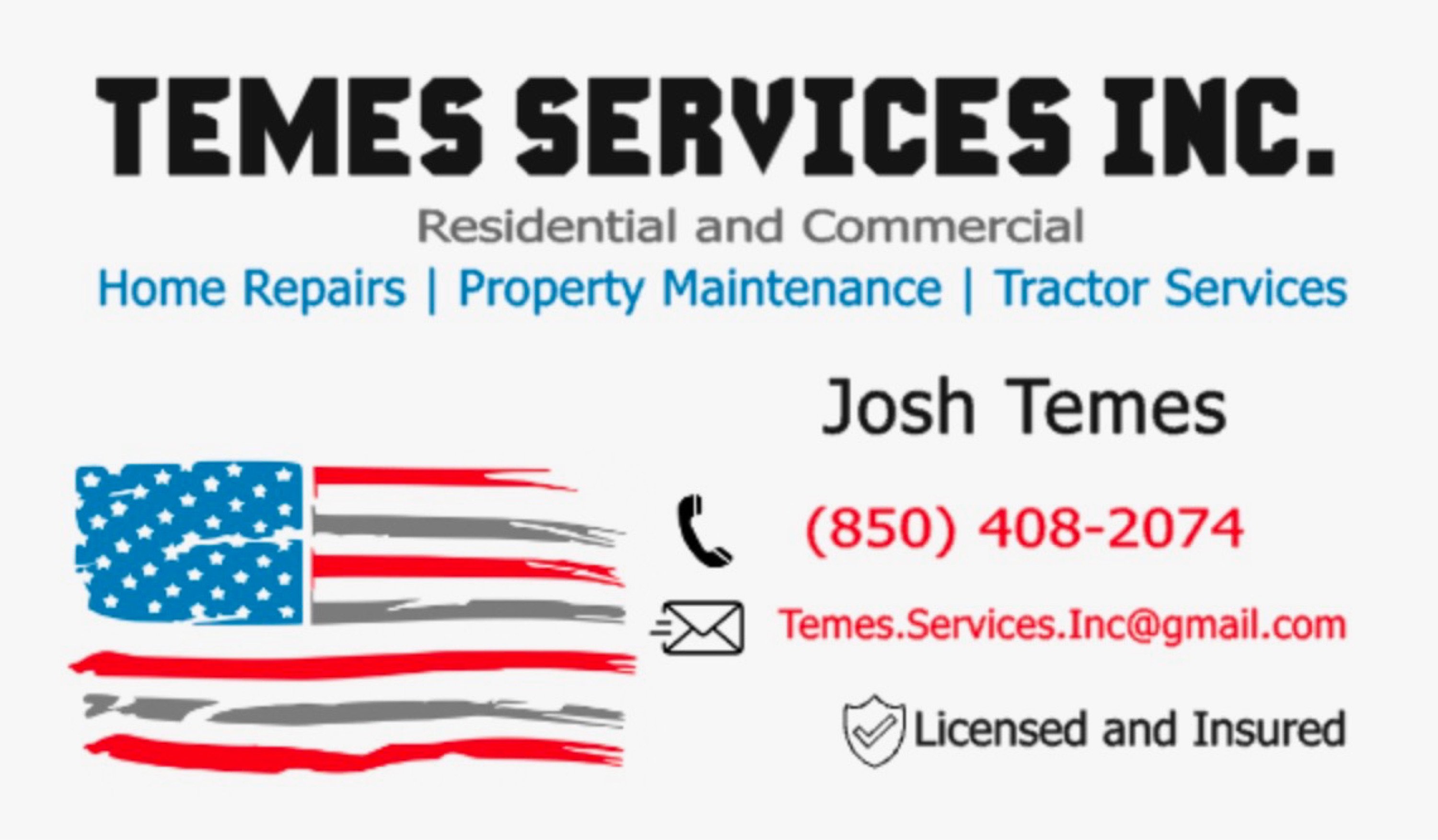 Temes Services, Inc. Logo