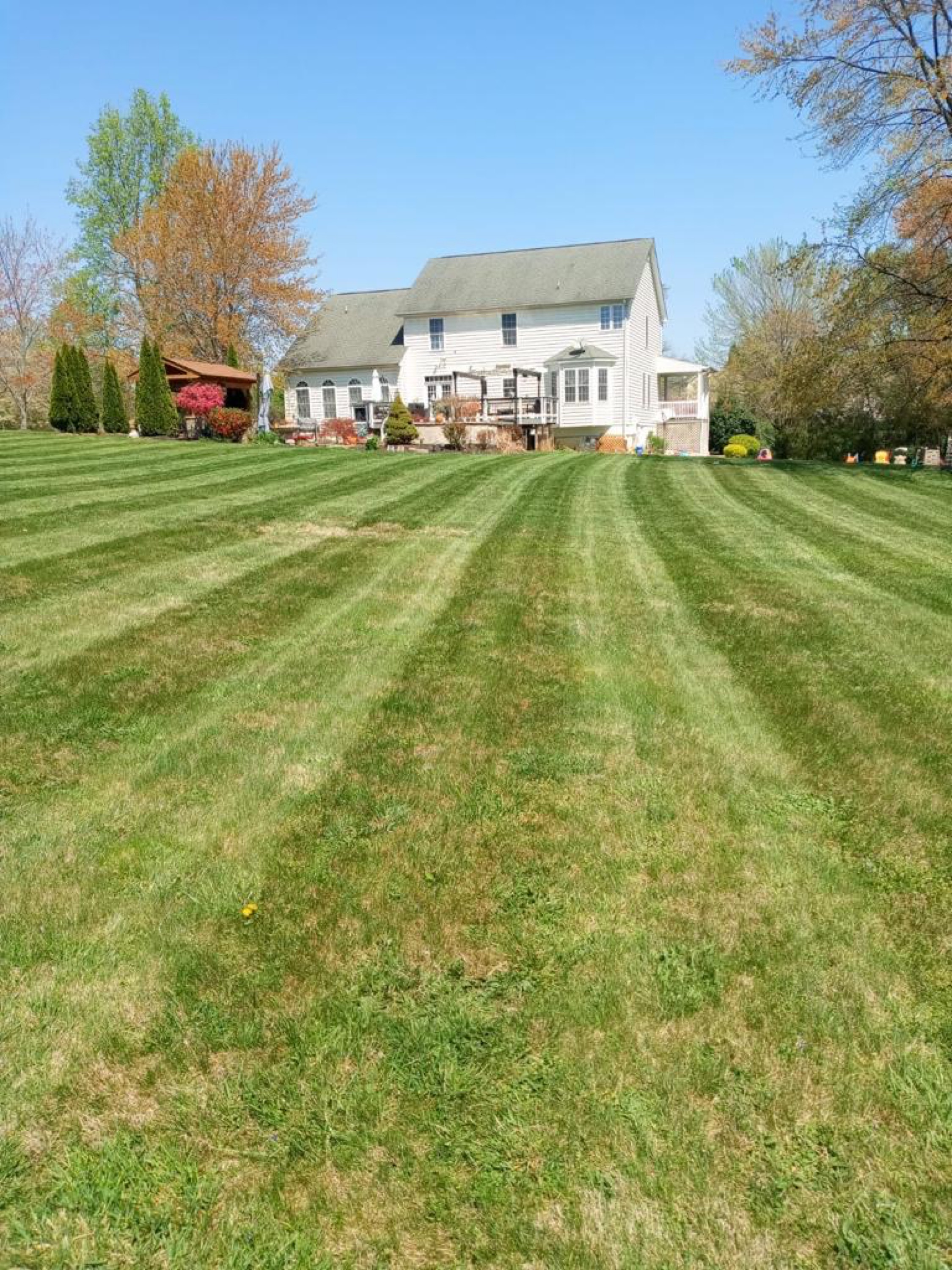 Miranda Landscaping Logo