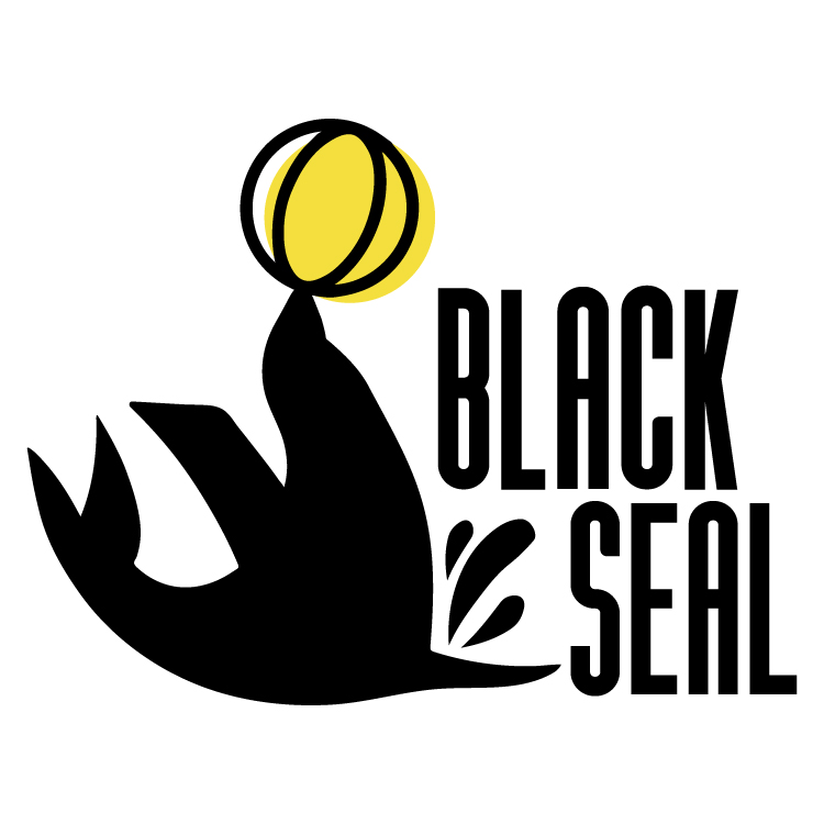 BlackSeal Logo