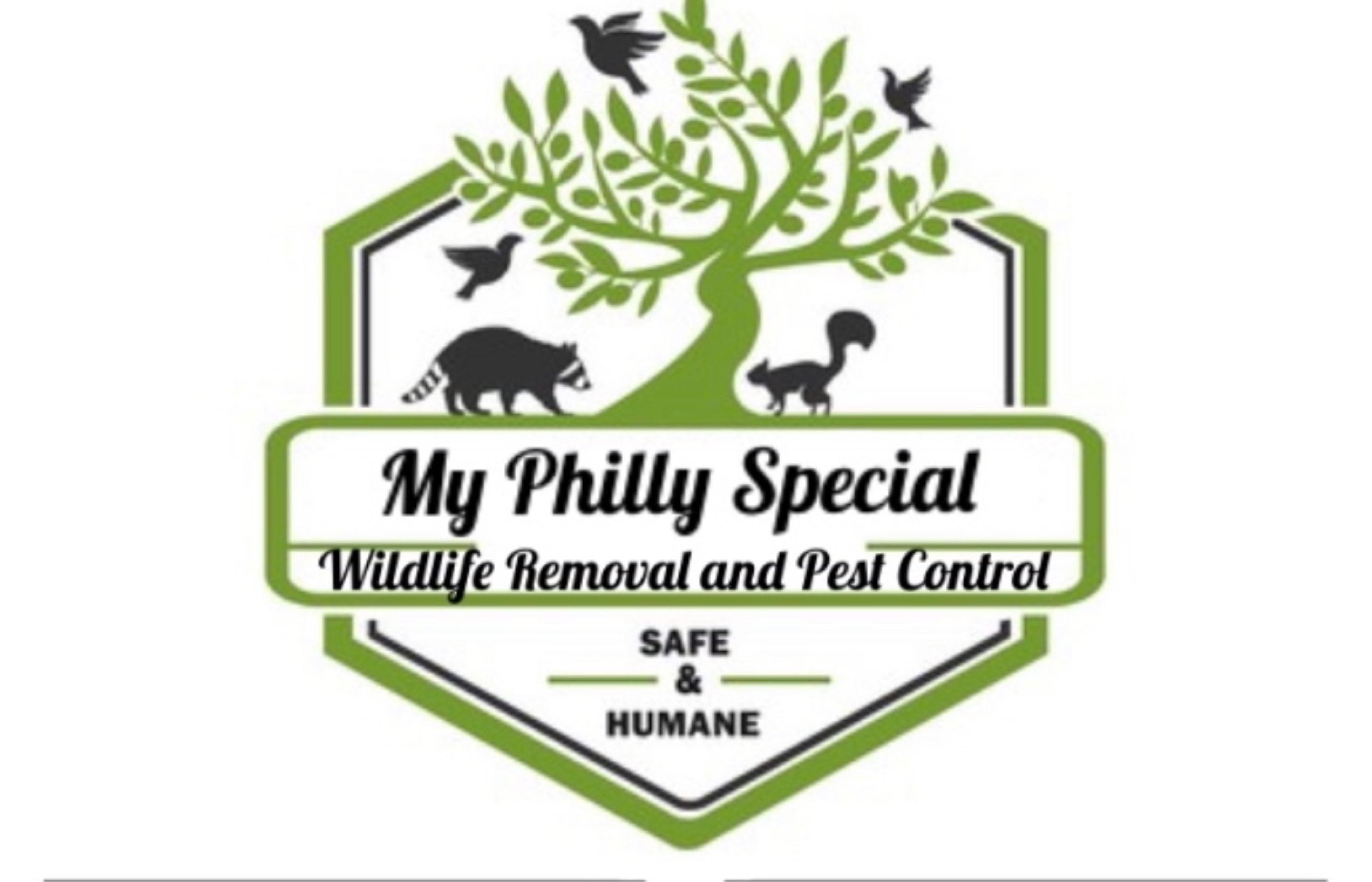 MY PHILLY SPECIAL, LLC Logo