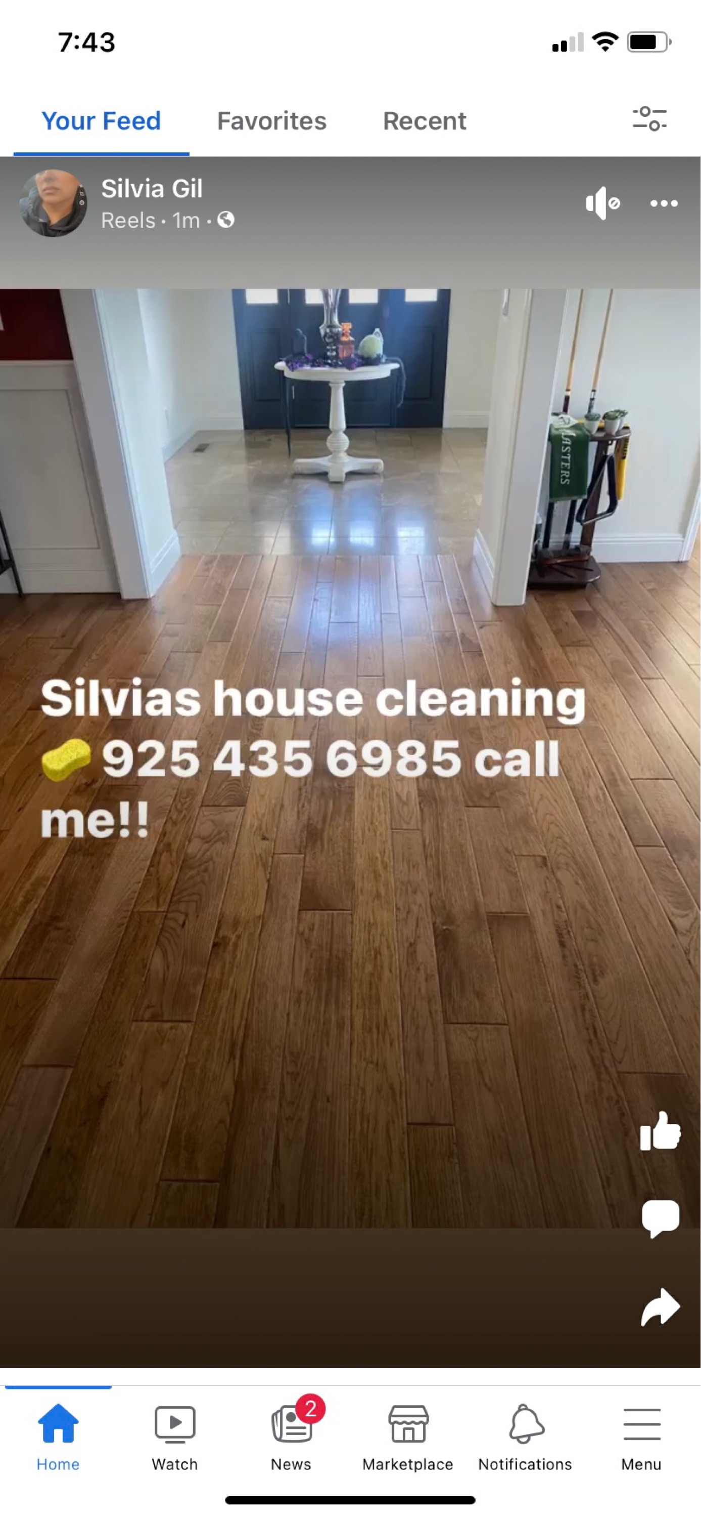 Silvias House Cleaning Logo