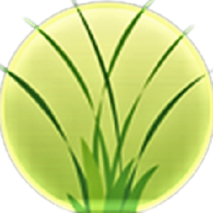 Top Seed Landscaping Logo