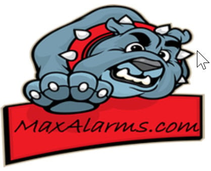 Maximus Security Services Logo