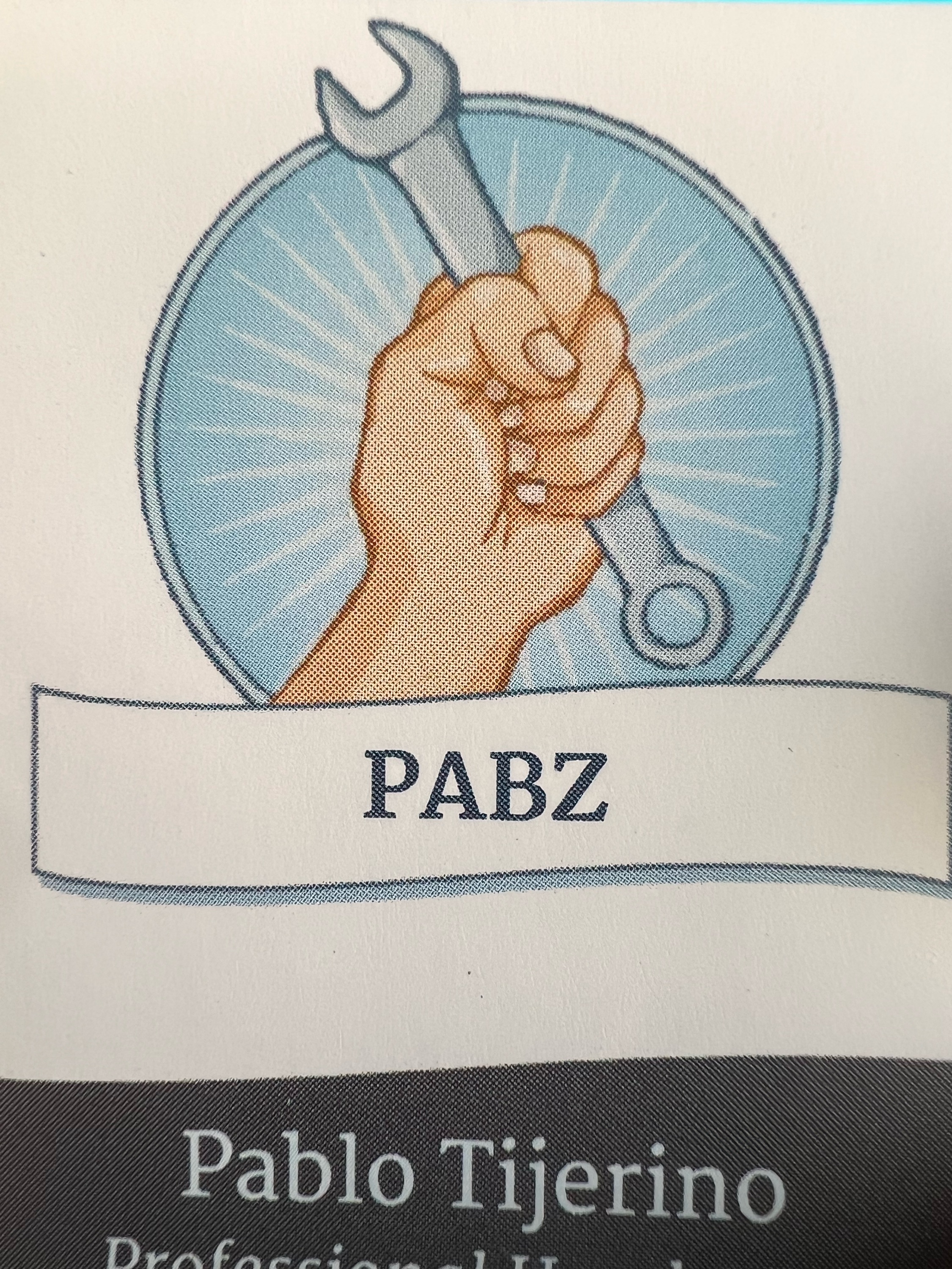 PABZ Professional Handymen Logo