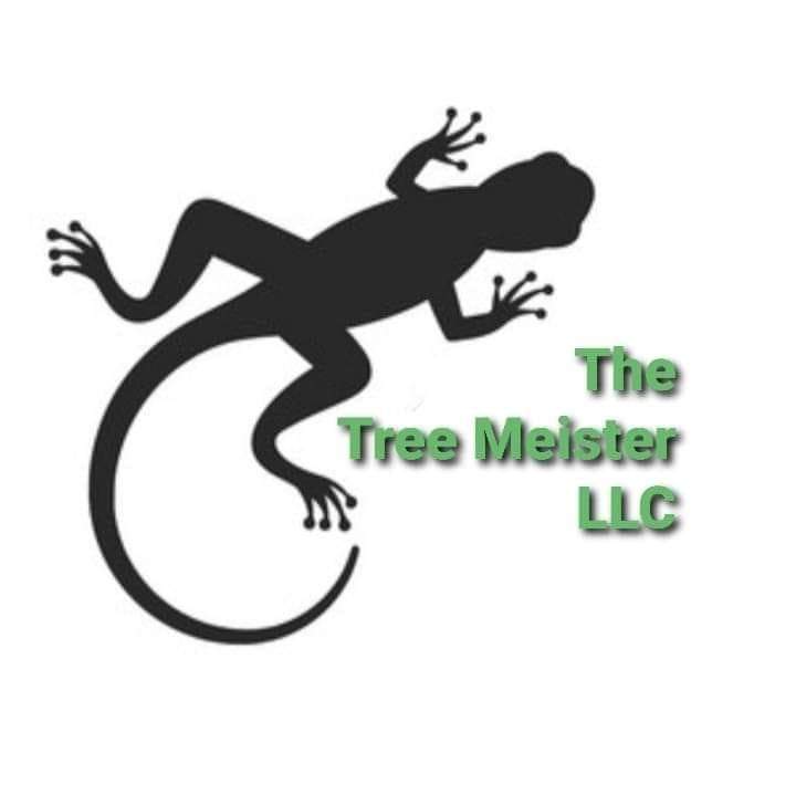 The Tree Meister Logo