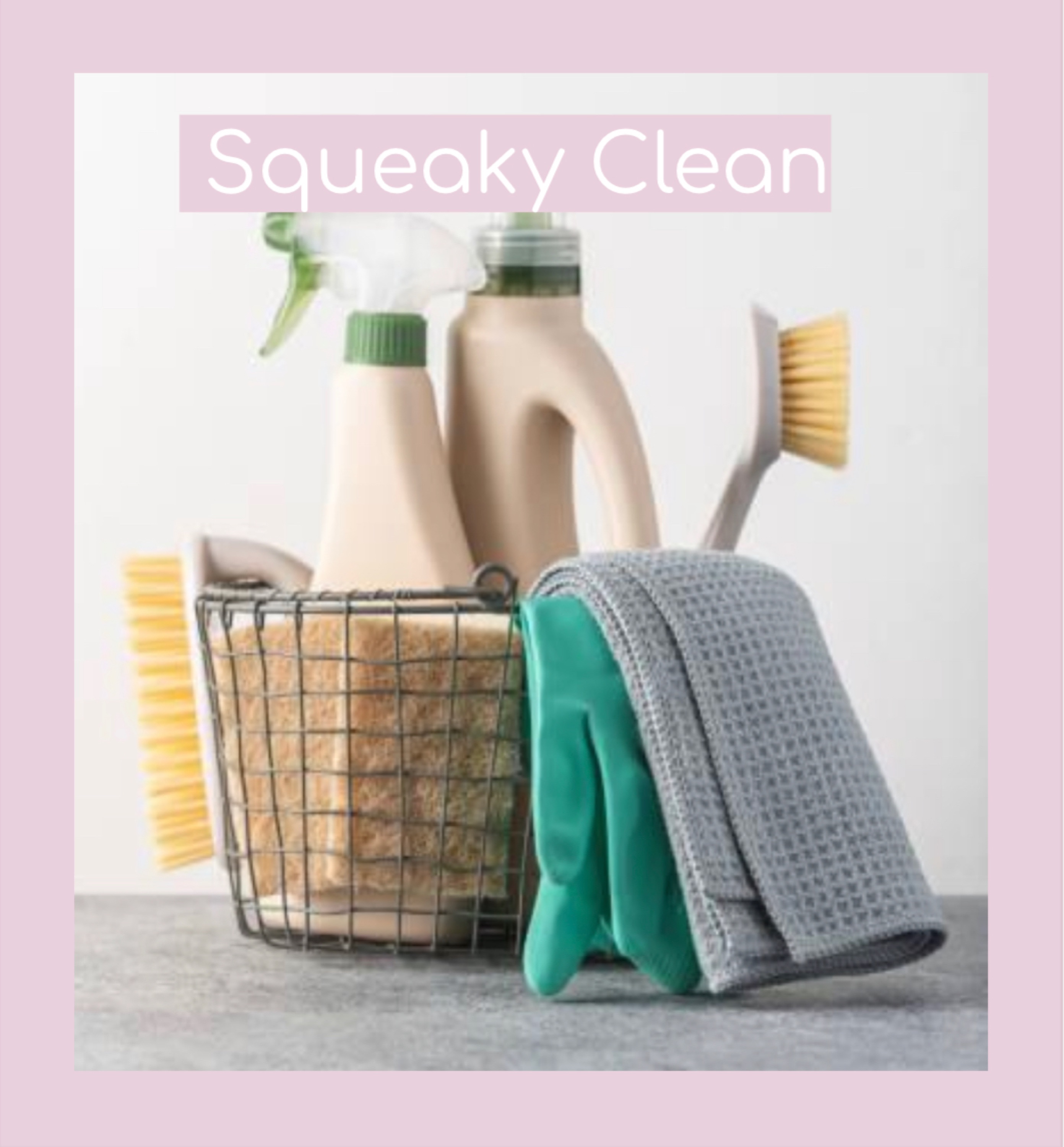 Squeaky Clean & Services Logo