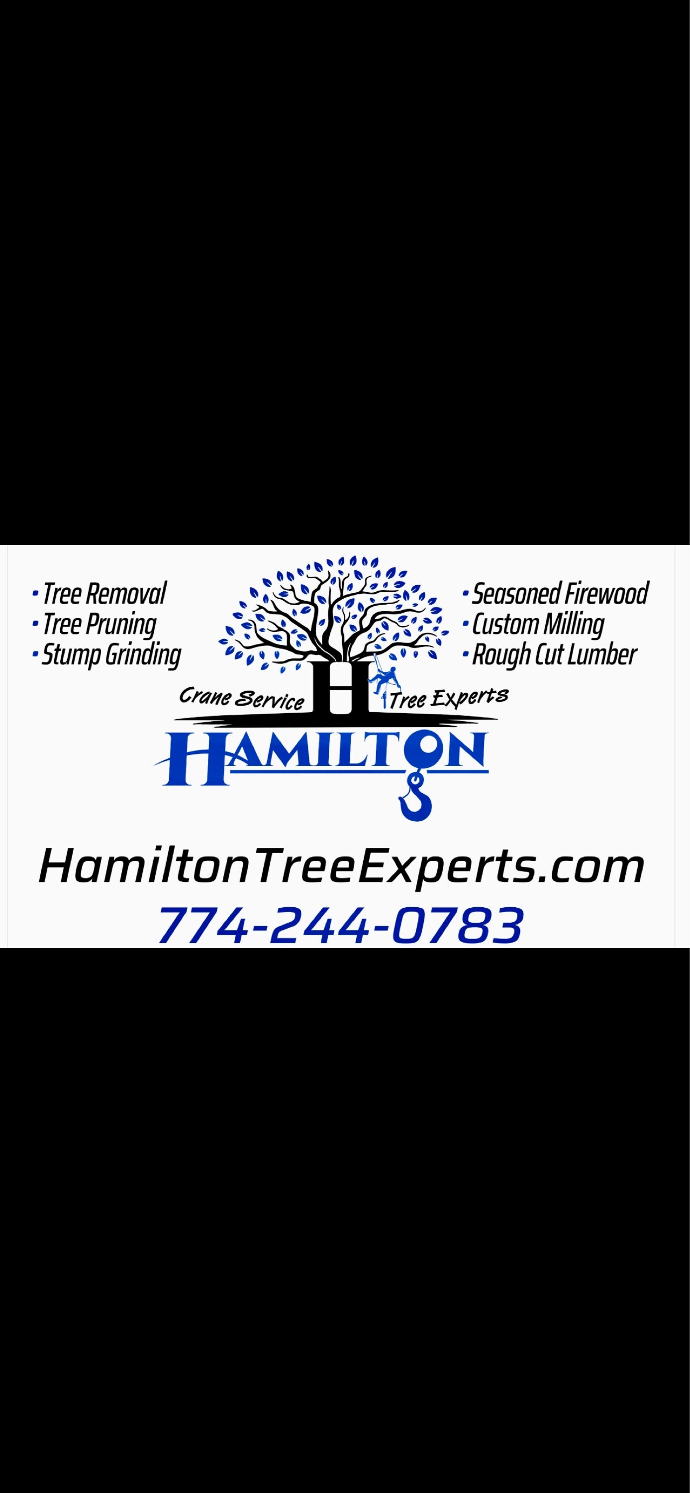 Hamilton Tree Experts Logo