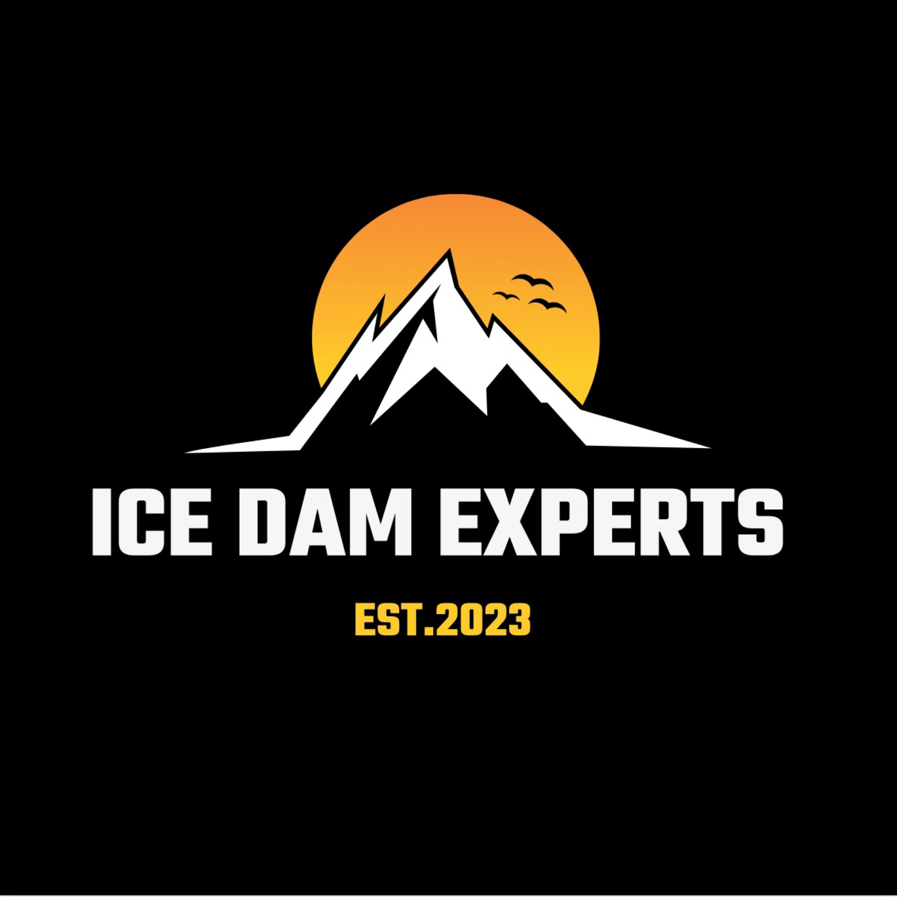 Ice Dam Experts LLC Logo
