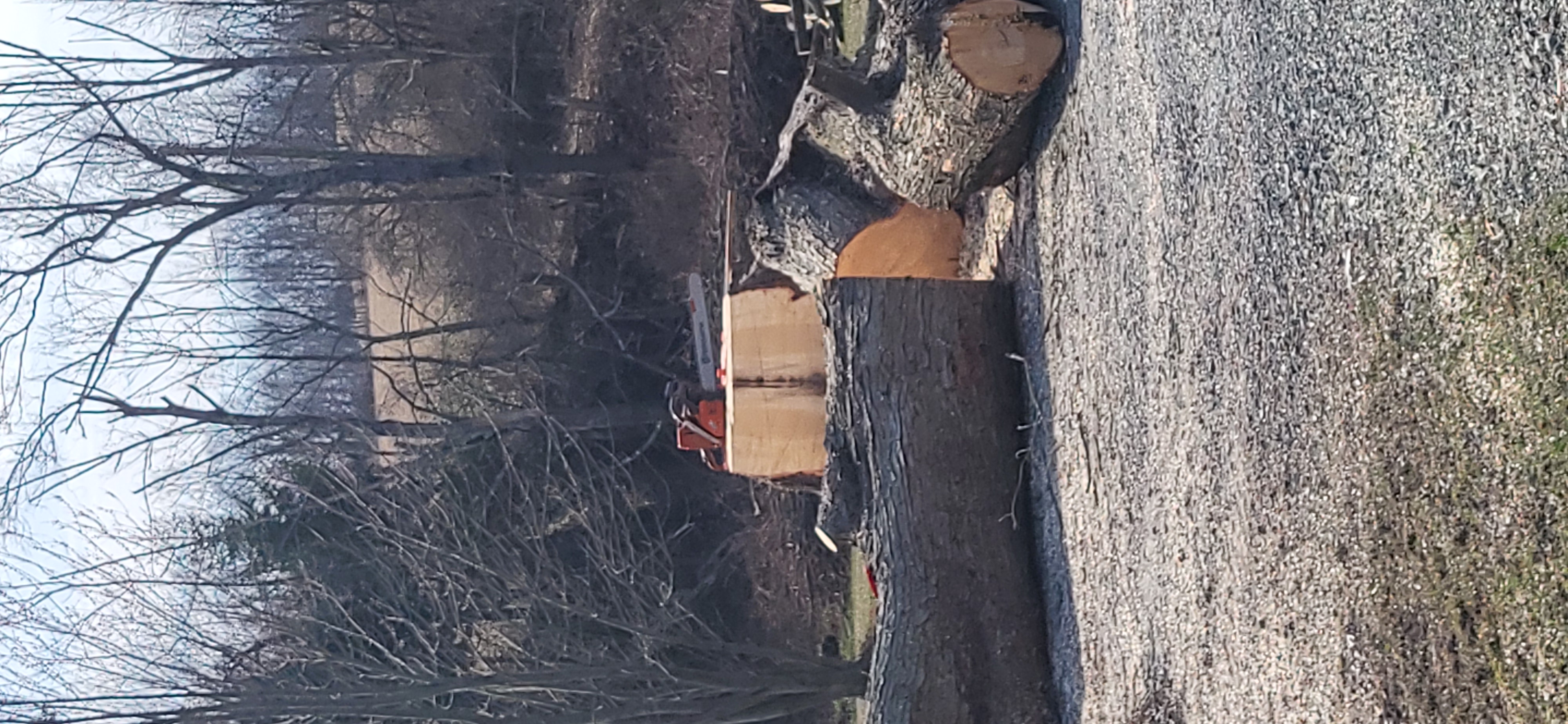 Fowler's Tree Service LLC Logo