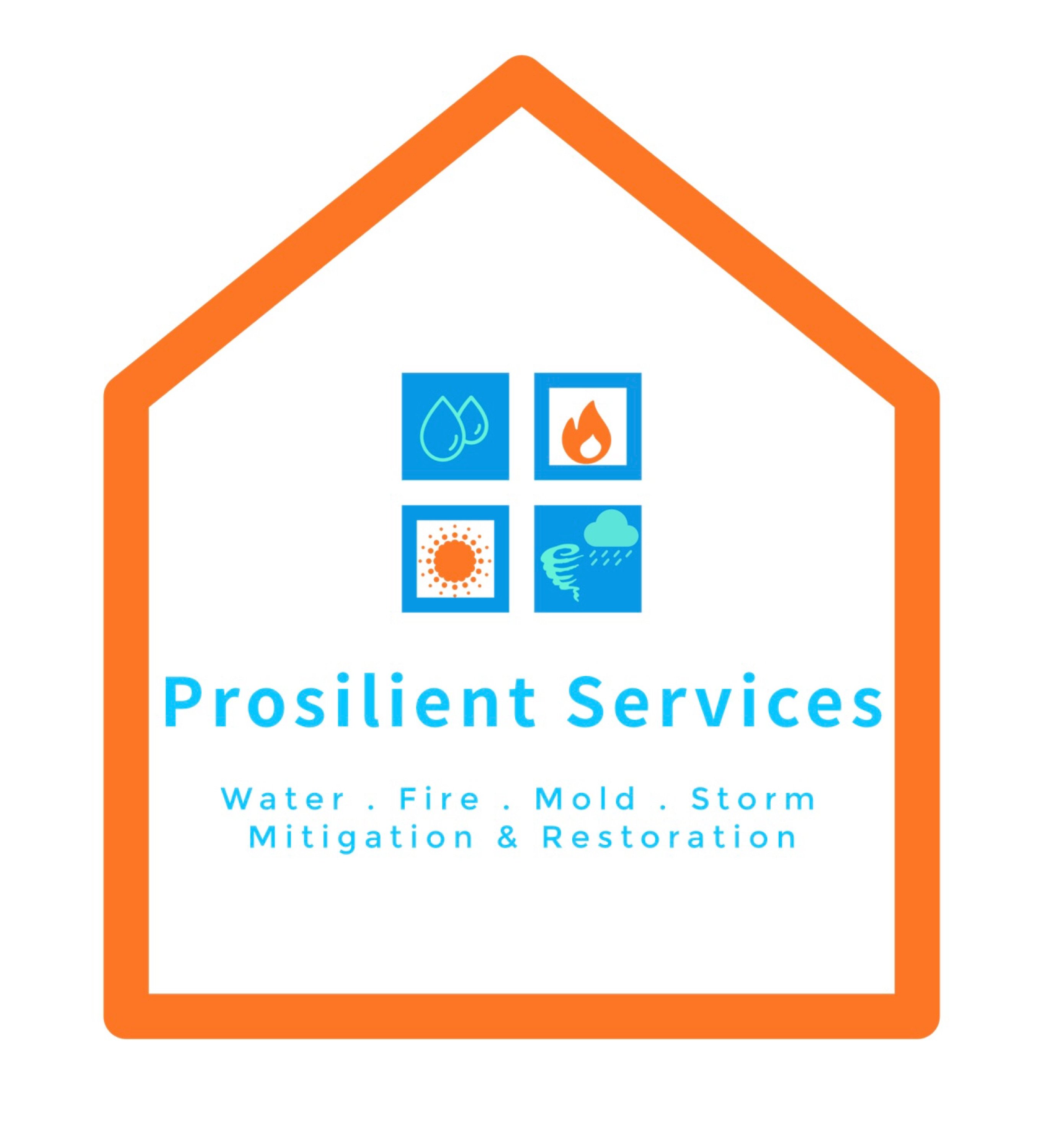 Prosilient Services, Inc. Logo
