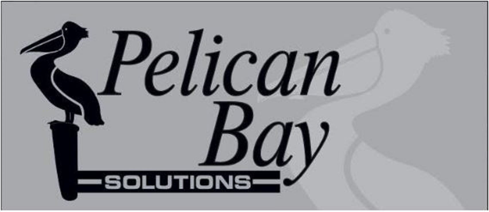 Pelican Bay Solutions LLC Logo