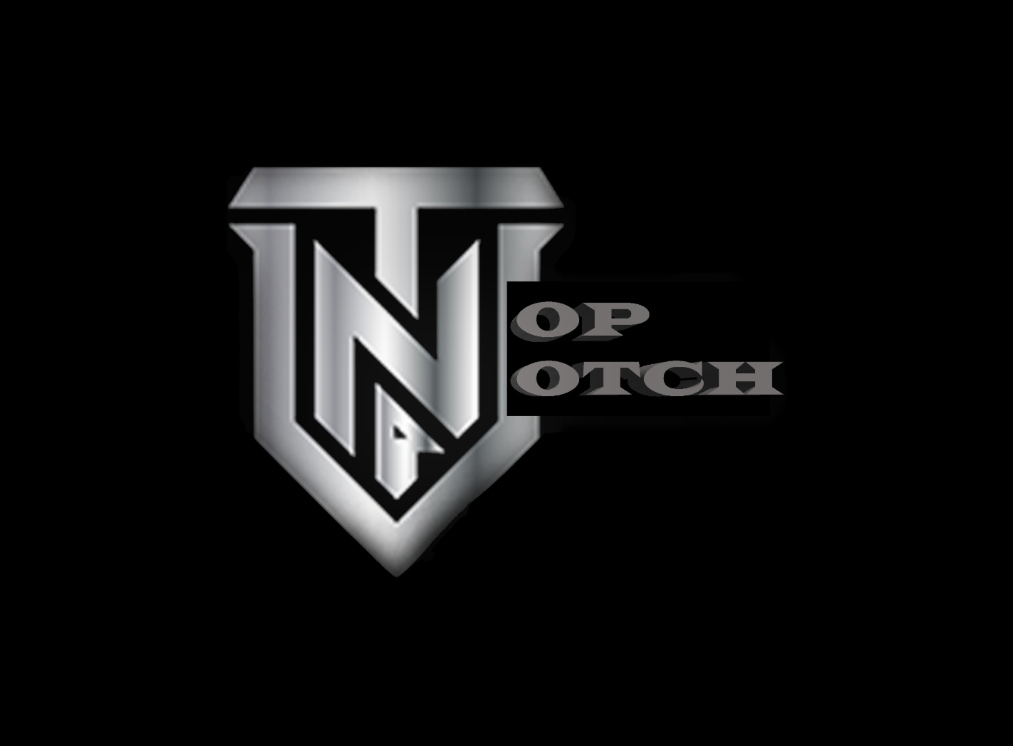 Top Notch Home Renovations Logo