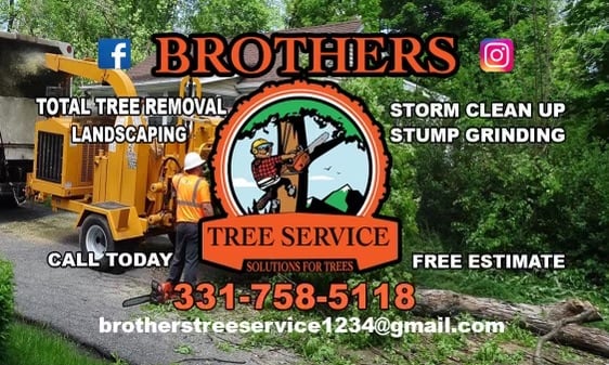 Brother Tree Services Logo