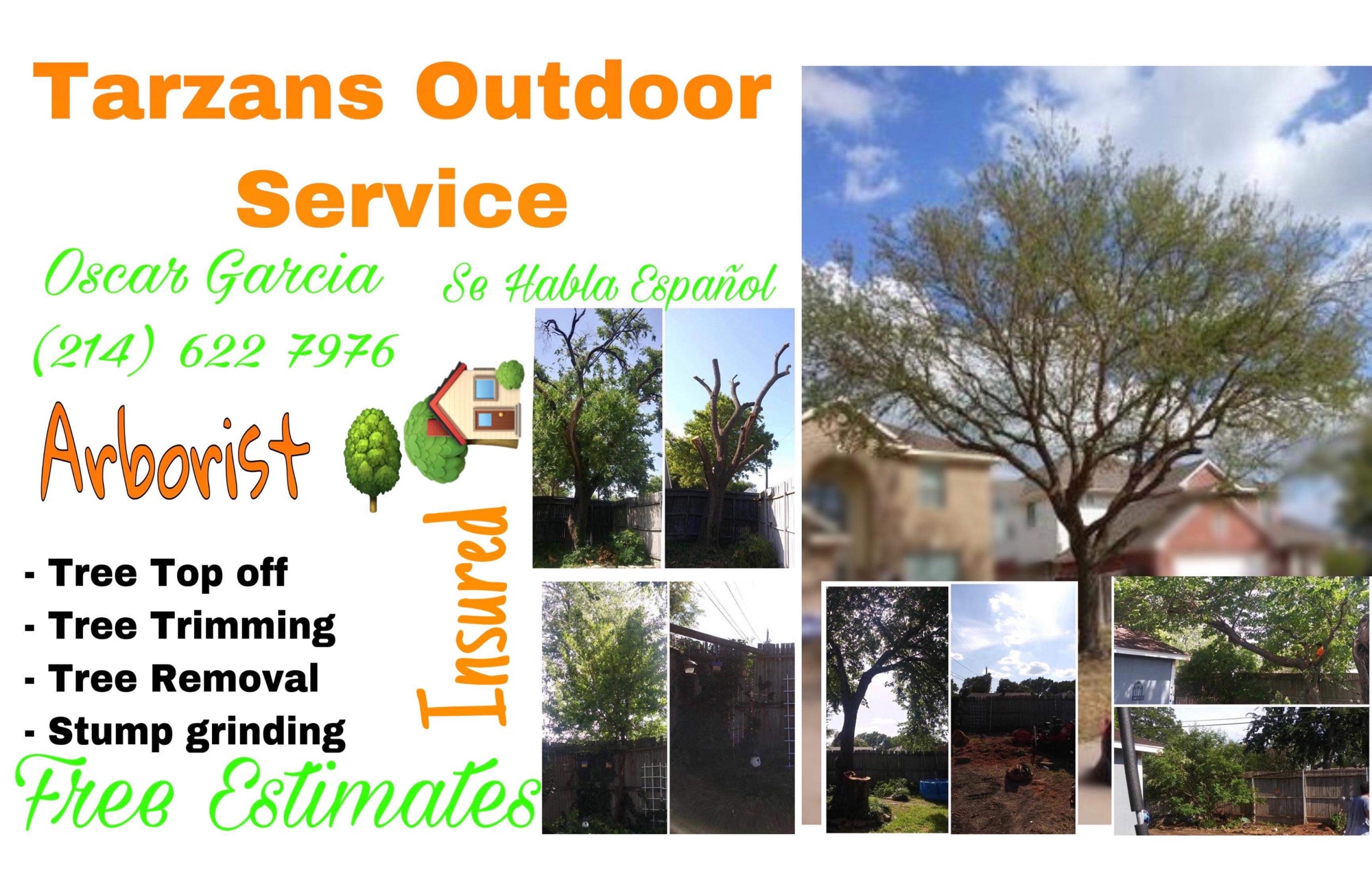 Tarzan's Outdoor Service Logo
