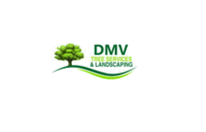 DMV Tree Services and Landscaping Logo