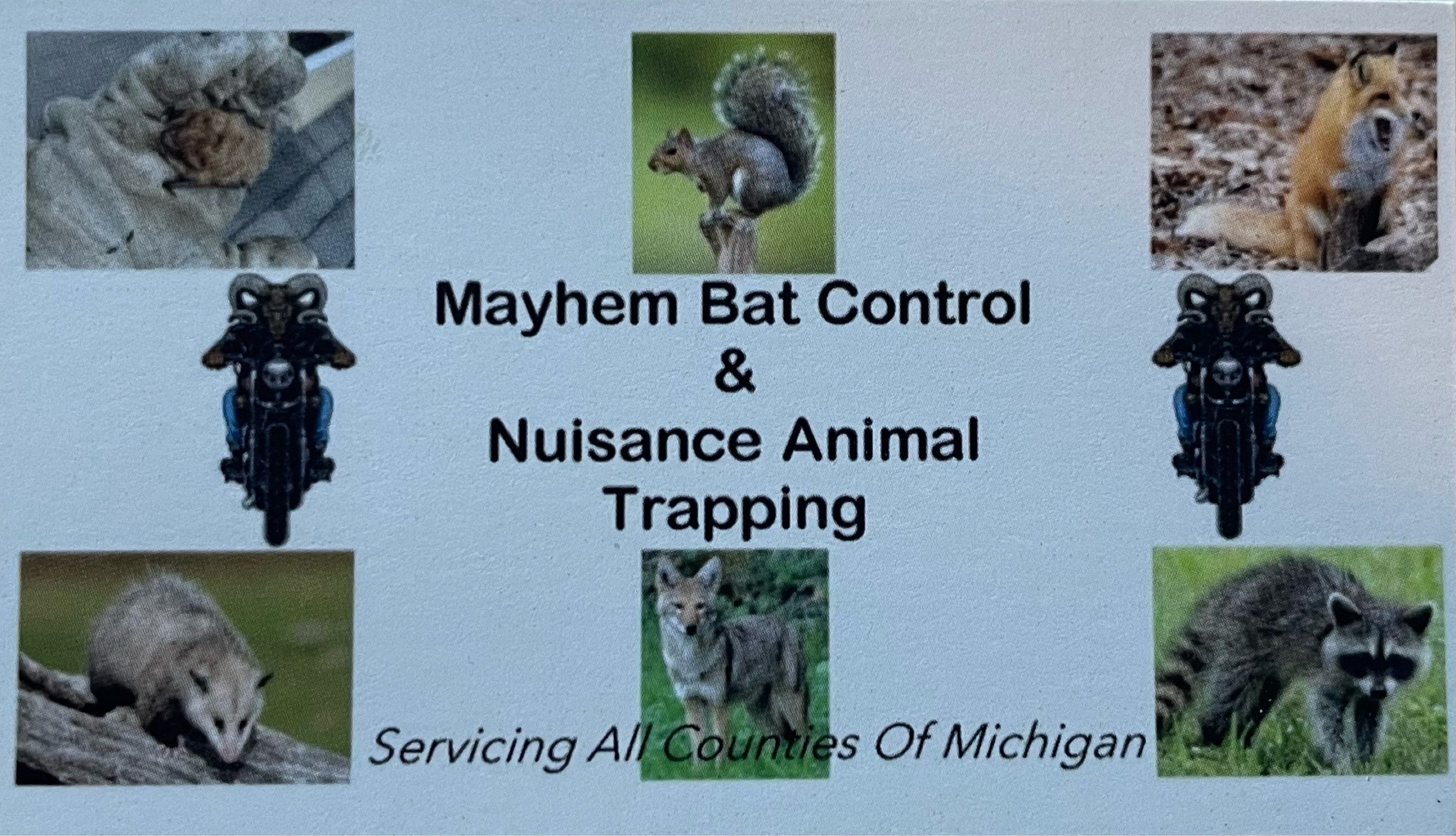 Mayhem Bat Control & Nuisance Animal Trapping, LLC Logo