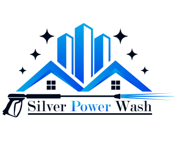 Silver Power Wash Logo