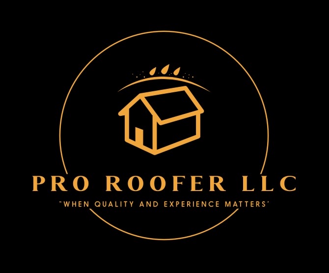 PRO ROOFER LLC Logo