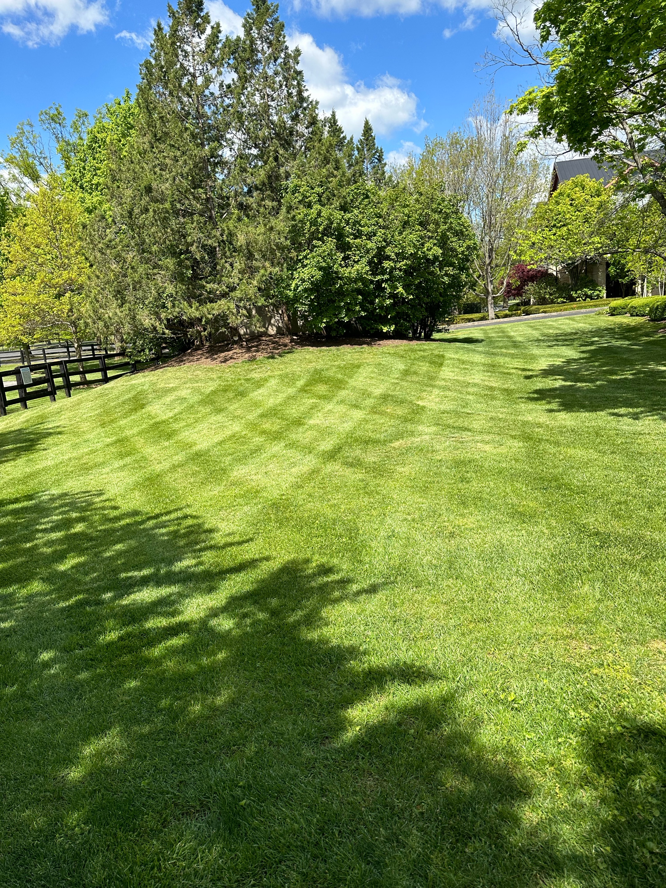 Wilson Lawn Care Logo