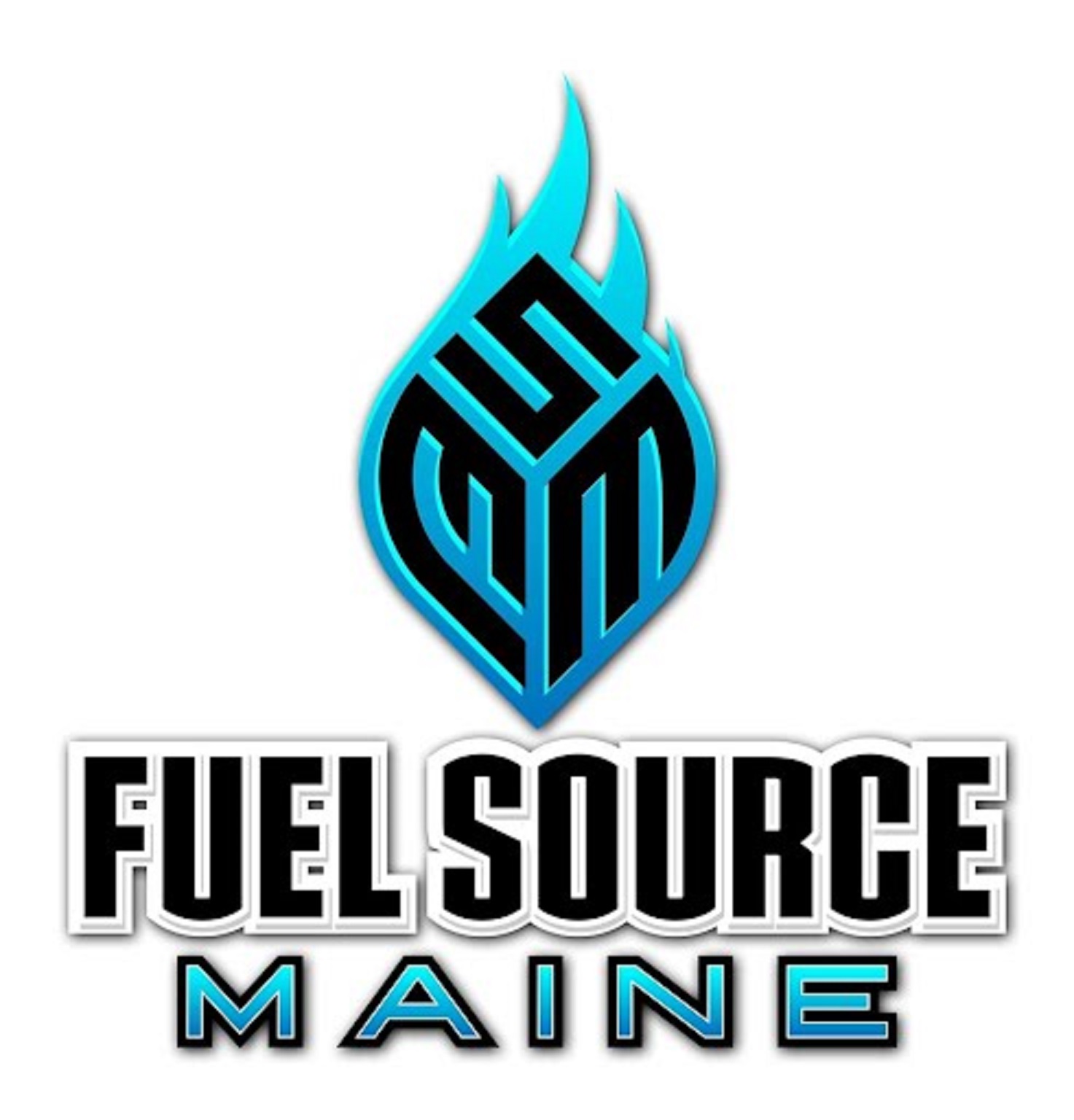 Fuel Source Maine, LLC Logo