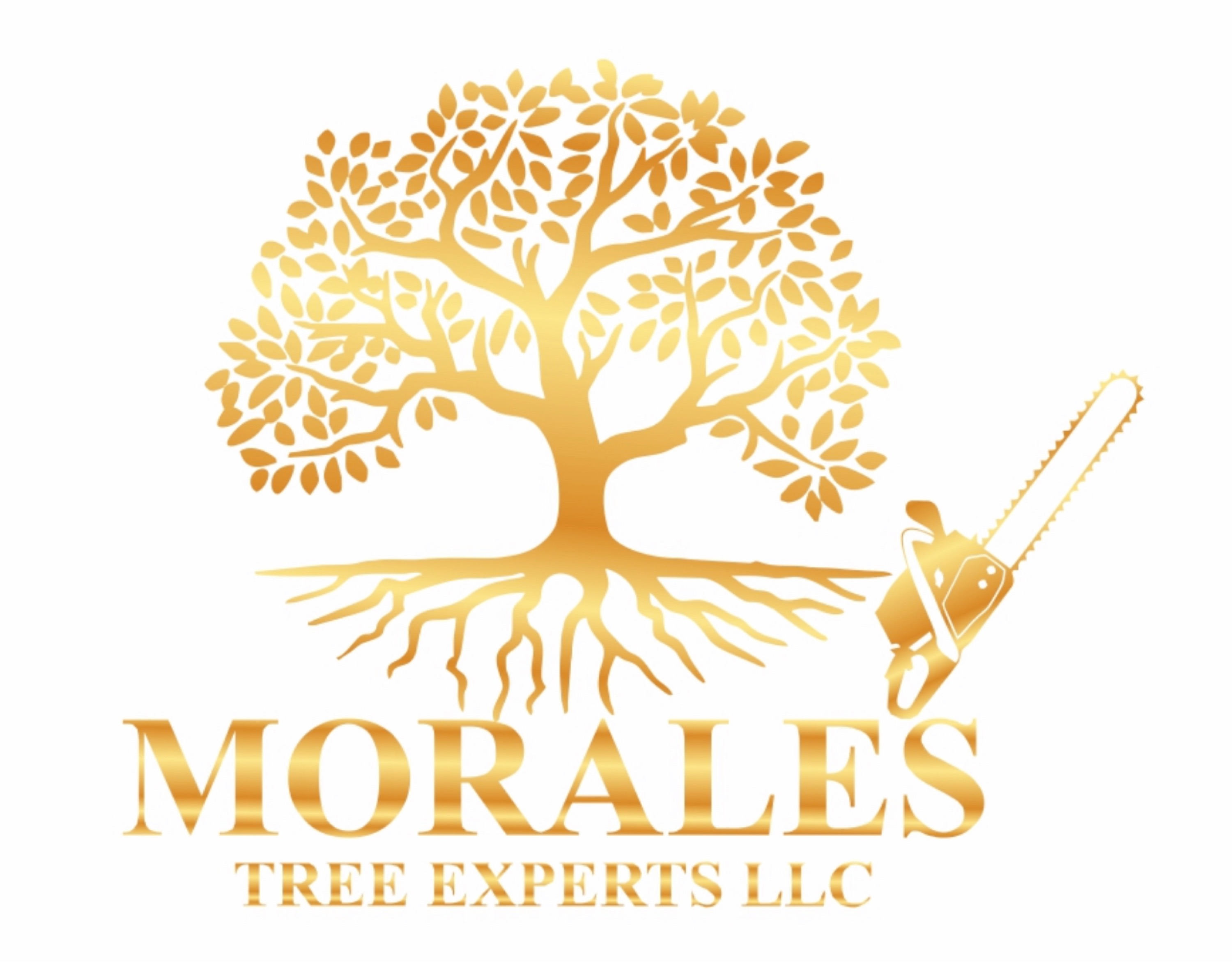 Morales Tree Experts Logo