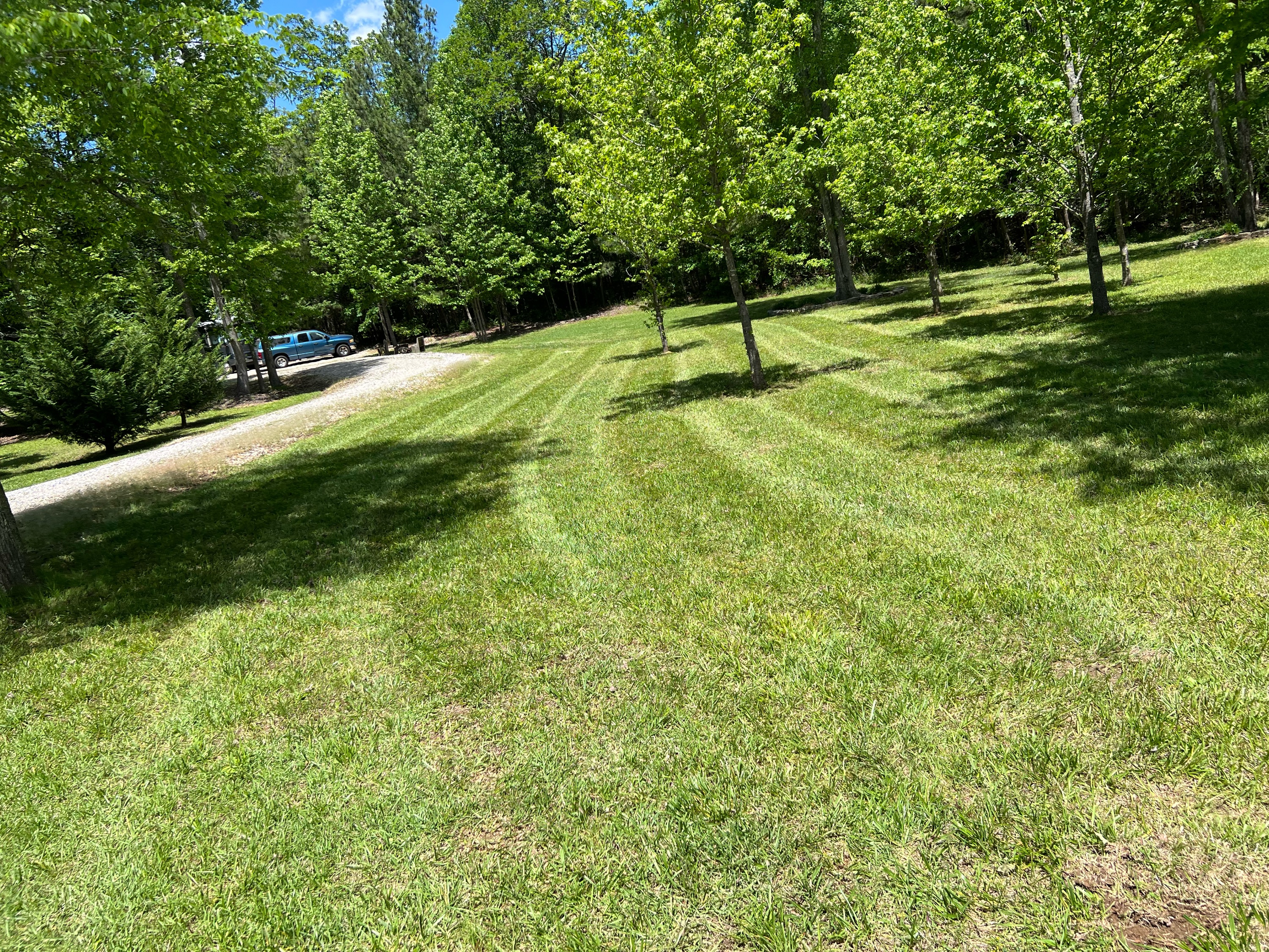 Southern Styles Lawns Logo