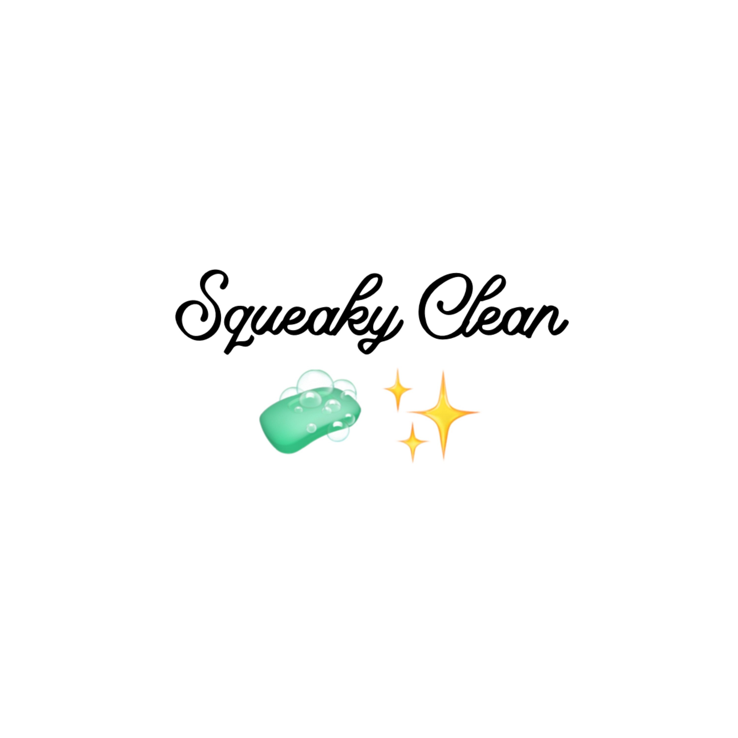 Squeaky Clean TX, LLC Logo