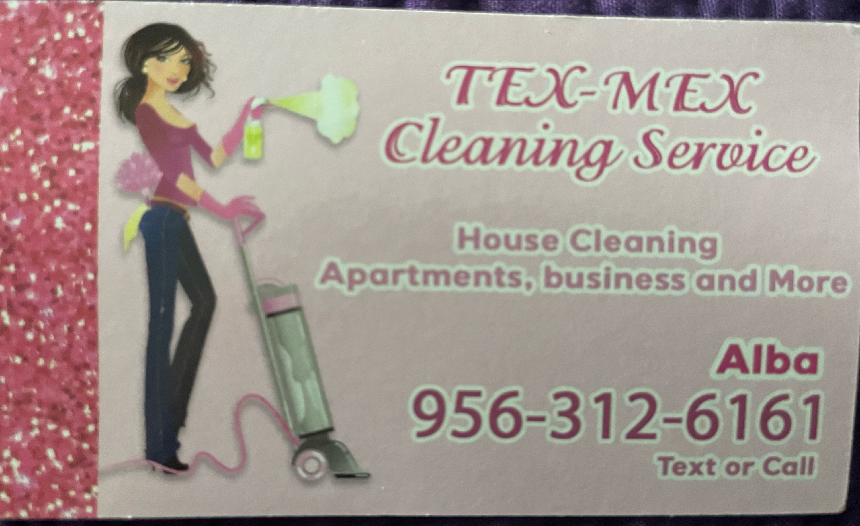 Tex-Mex Cleaning Service Logo