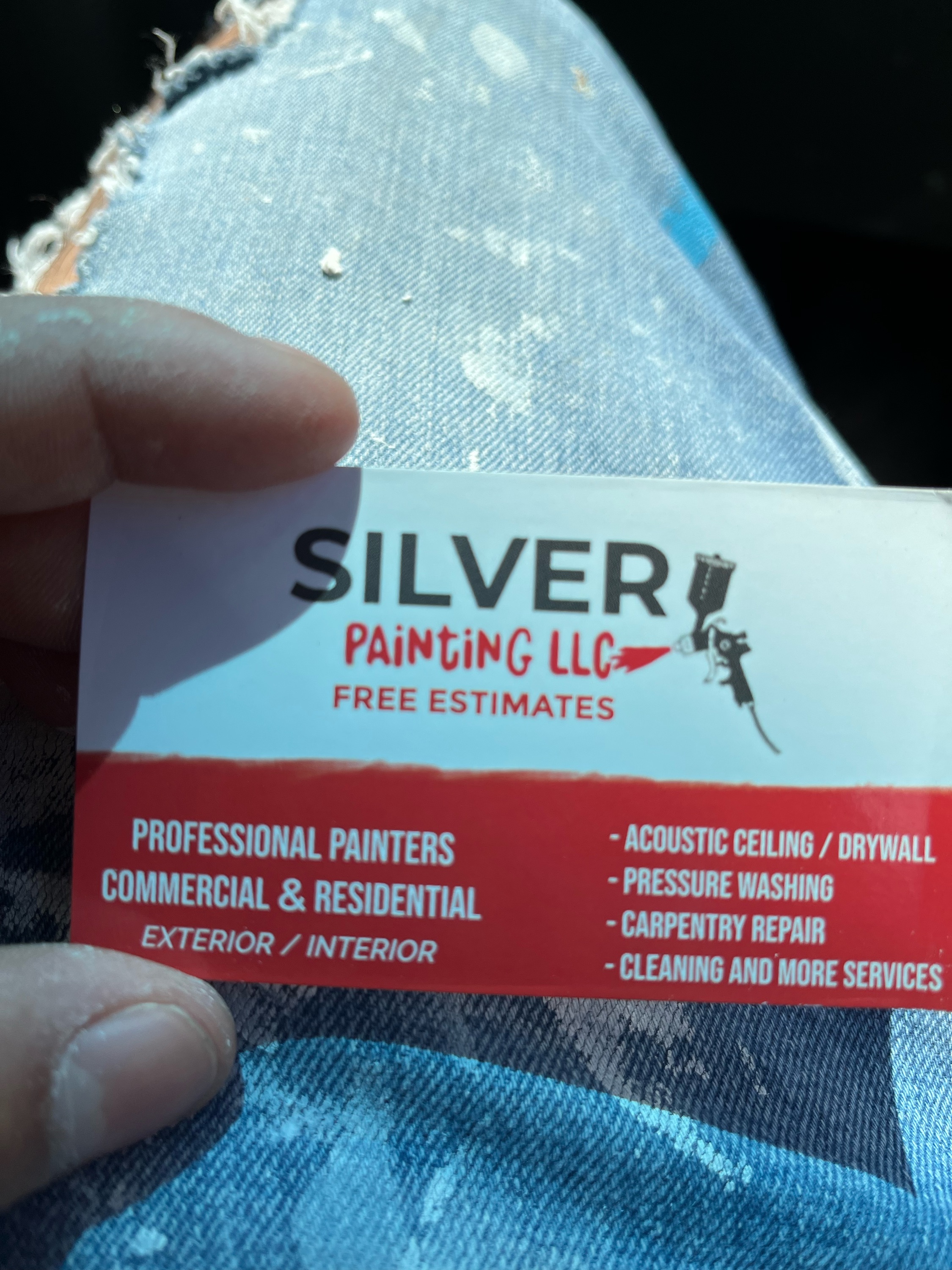 Silver Painting, LLC Logo