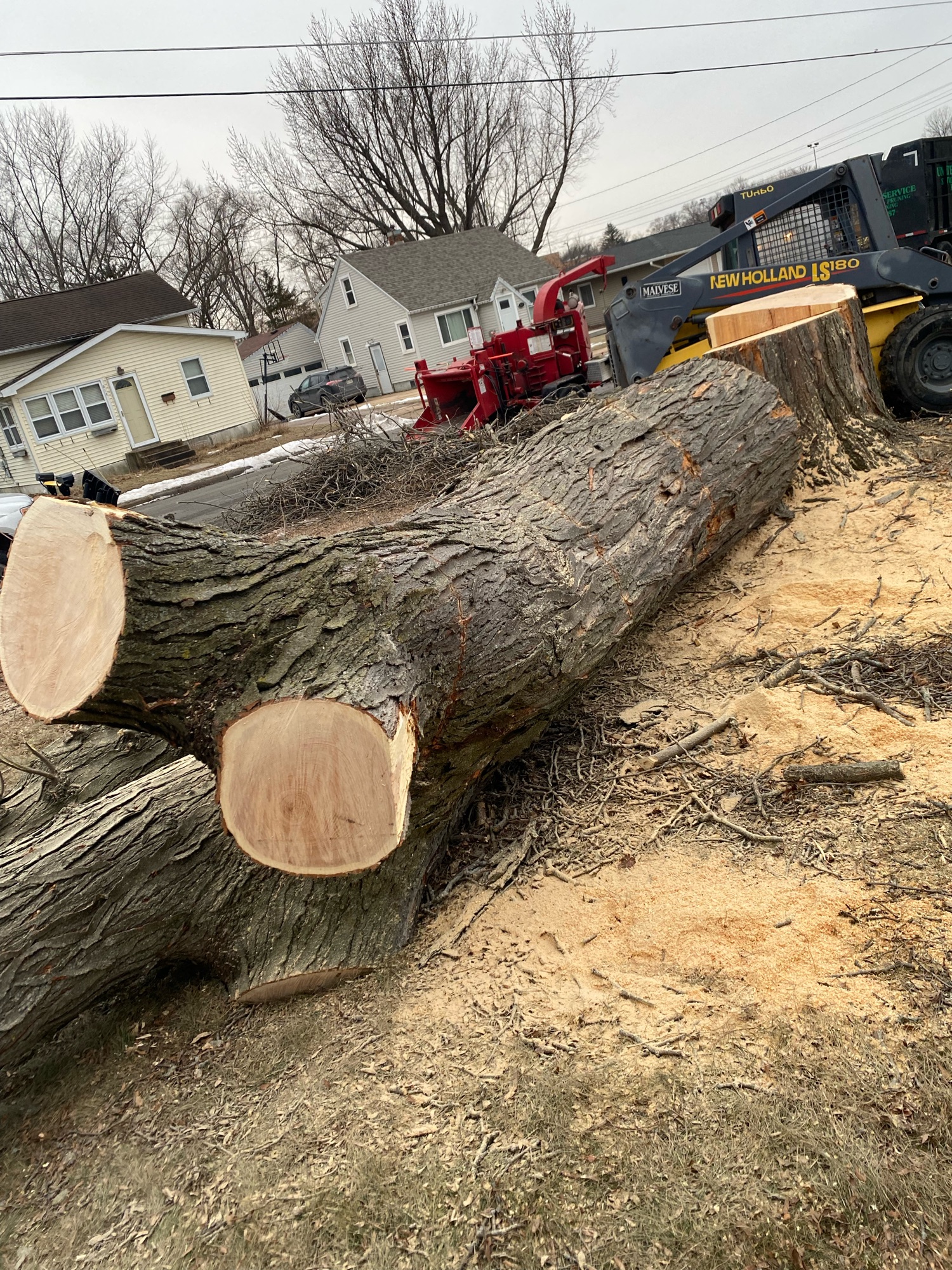 United Tree Service Logo