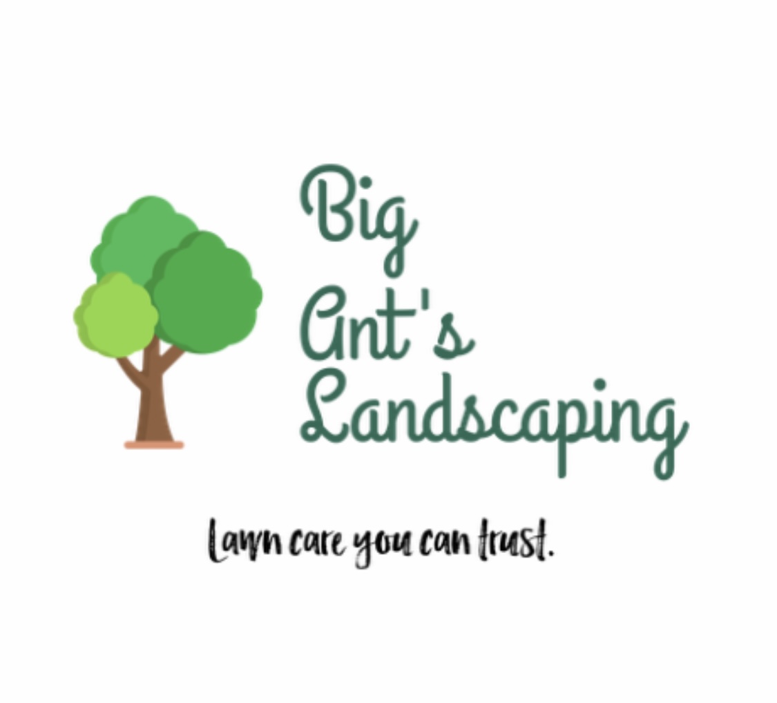 Big Ants Landscaping Logo