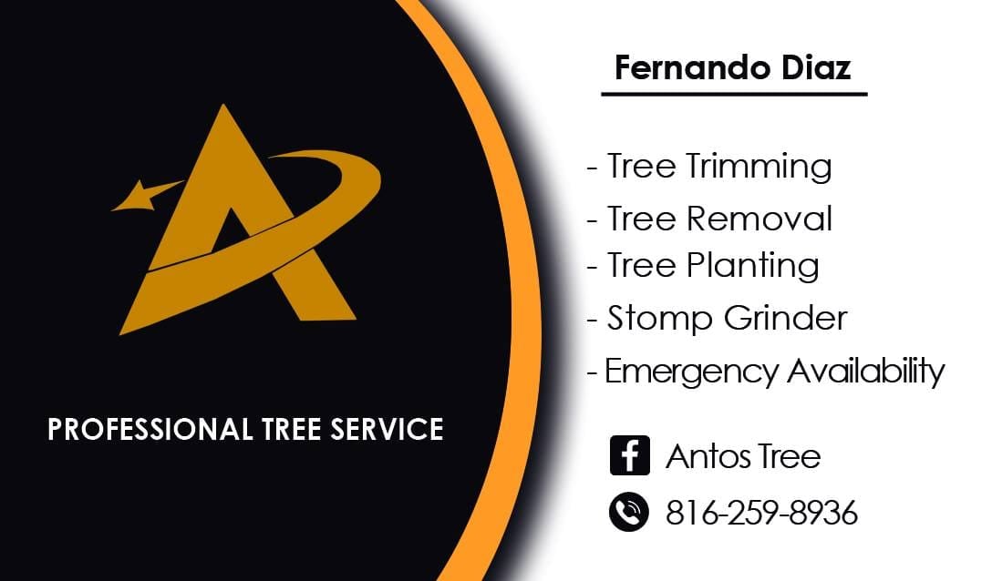 Professional Tree Service Logo