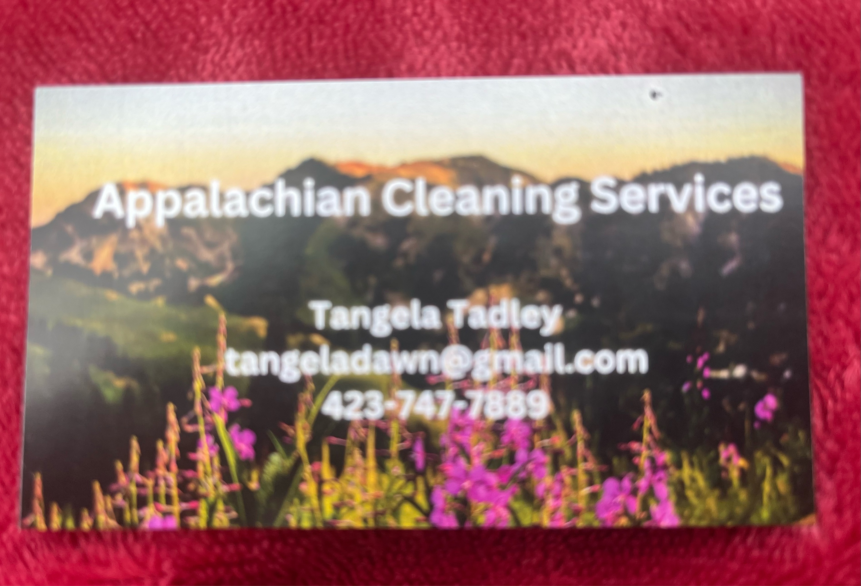 Tangy's Cleaning Services Logo